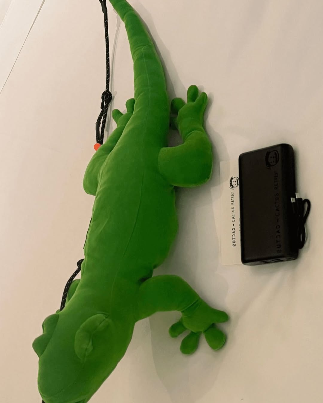 CACTUS PLANT FLEA MARKET ACG COLLAB TEASED FOR 2026 (image 6)