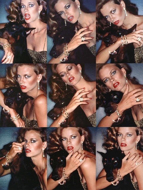 CHRIS VON WANGENHEIM 1976 DIOR CAMPAIGN RESURFACEd (image 3)