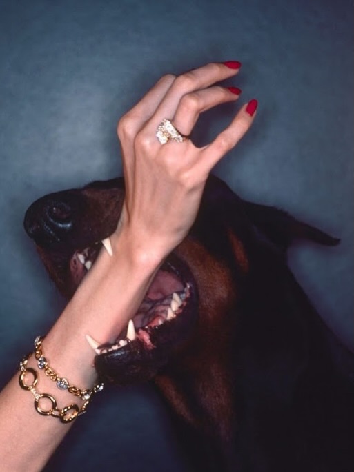CHRIS VON WANGENHEIM 1976 DIOR CAMPAIGN RESURFACEd (image 5)