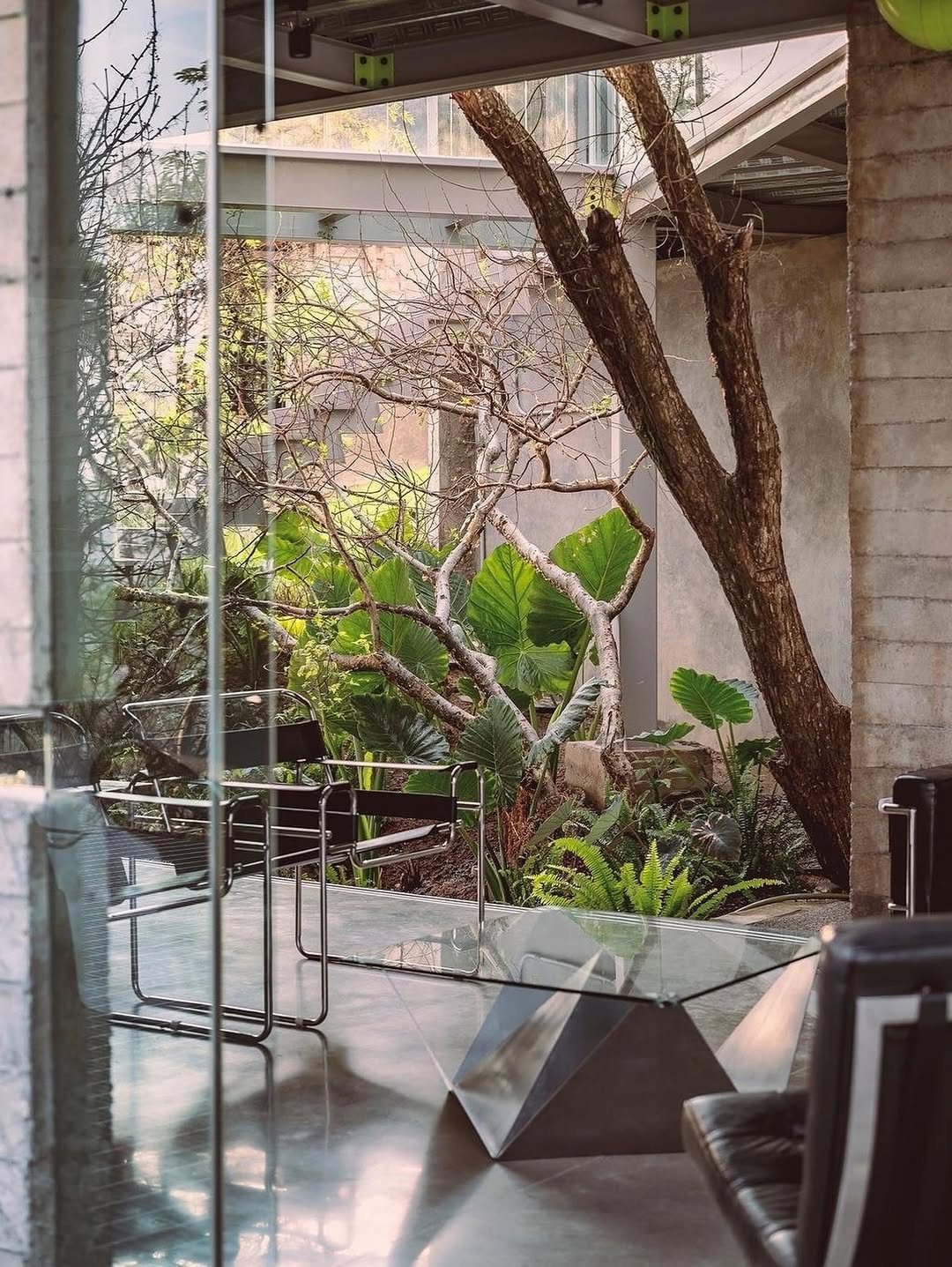TYPE7 SPOTLIGHTS INNOVATIVE MEXICAN ARCHITECTURE PROJECT (image 3)