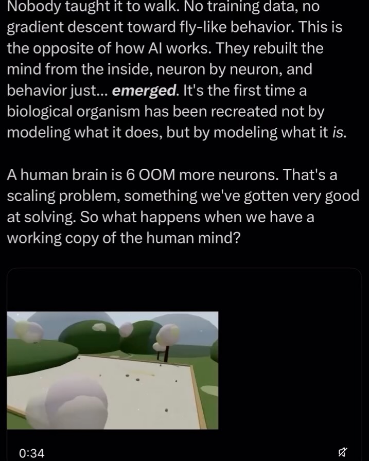 How Eon Systems Put a Real Brain Inside a Robot (image 4)