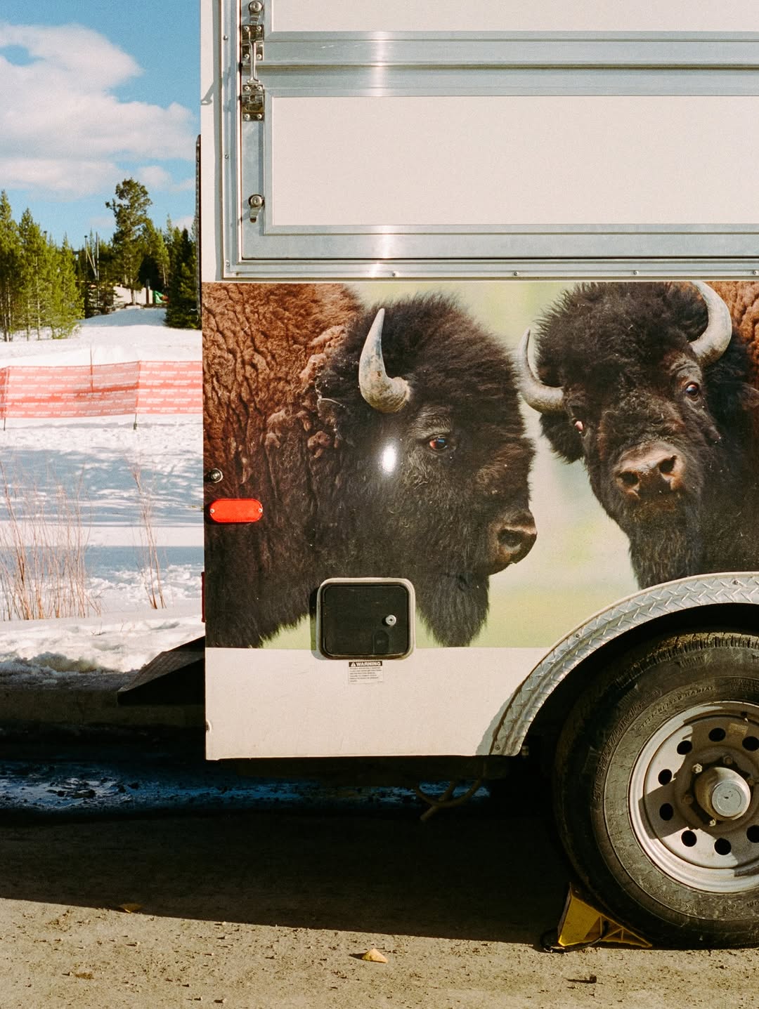 LOREN HEALY DOMINATES FAT ICE RACE BIG SKY MONTANA (image 6)