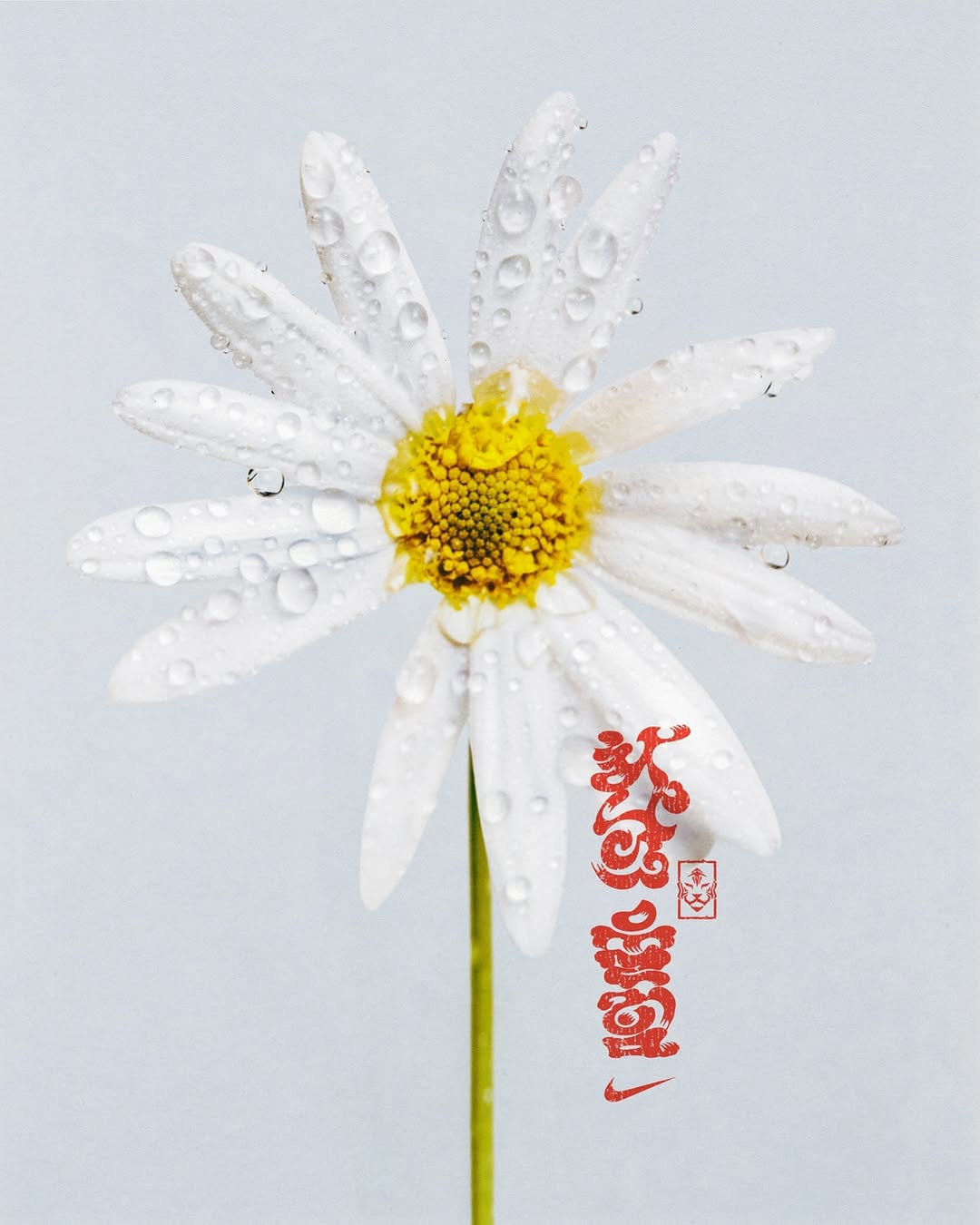PEACEMINUSONE PUTS THE DAISY ON KOREA'S WORLD CUP KIT (image 8)