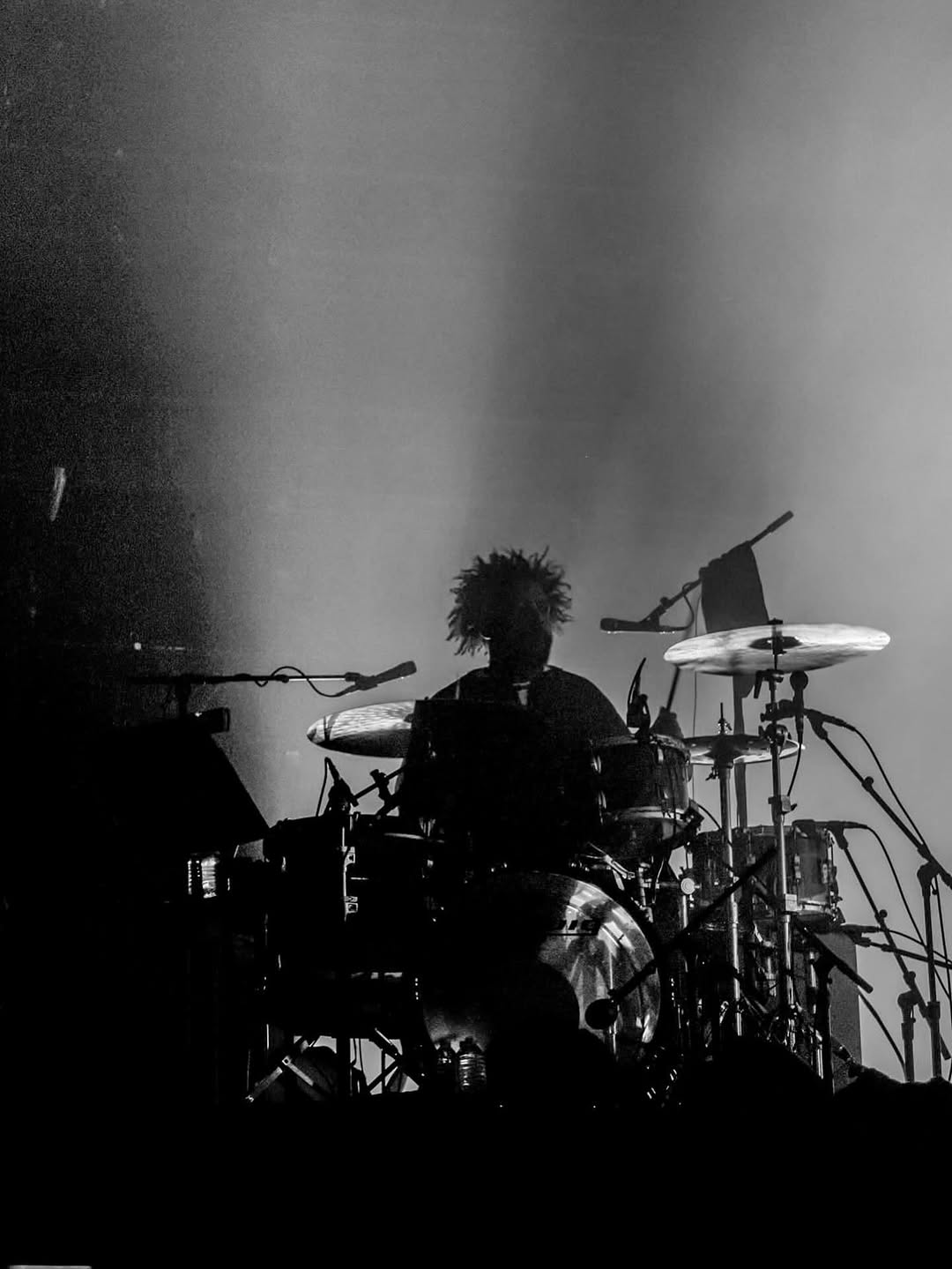JAY Z HEADLINES ROOTS PICNIC 18 WITH THE ROOTS (image 4)