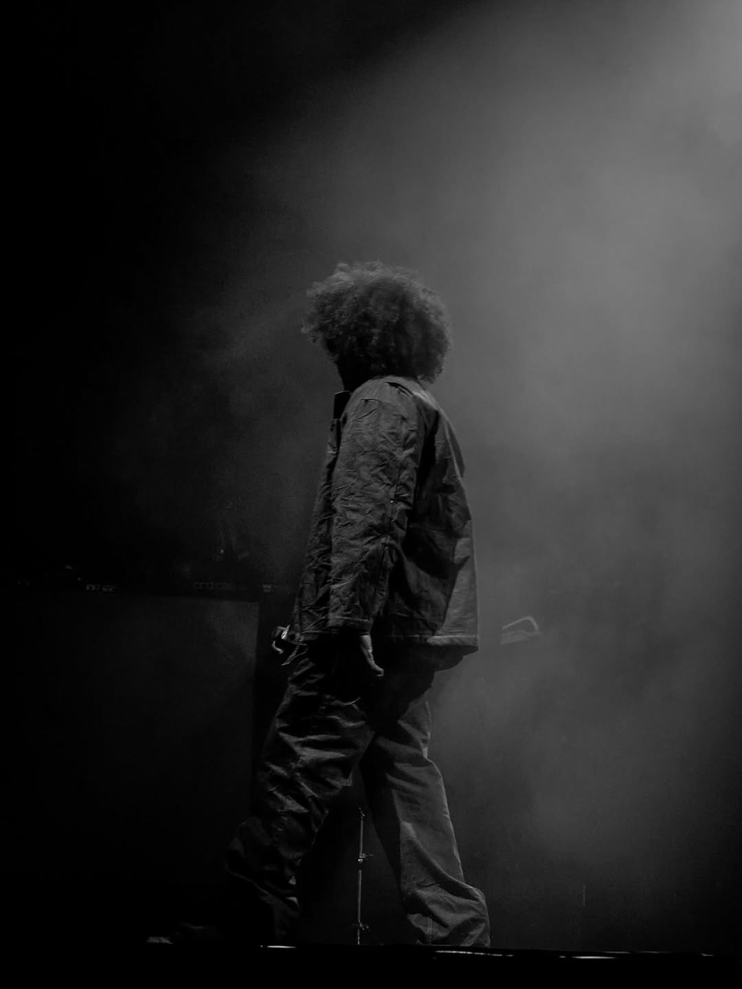 JAY Z HEADLINES ROOTS PICNIC 18 WITH THE ROOTS (image 6)