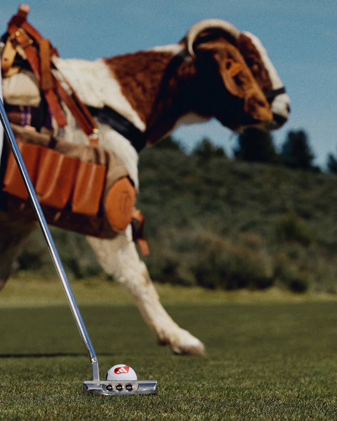 ADIDAS GOLF CODECHAOS MESSI DROPS TODAY AT $250 (image 3)