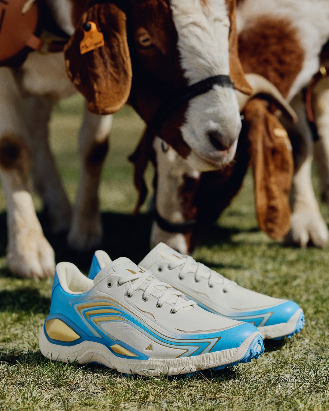 ADIDAS GOLF CODECHAOS MESSI DROPS TODAY AT $250 (image 6)