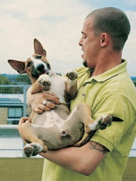 MCQUEEN LEFT HIS 3 DOGS £50,000 IN A HANDWRITTEN NOTE (image 6)