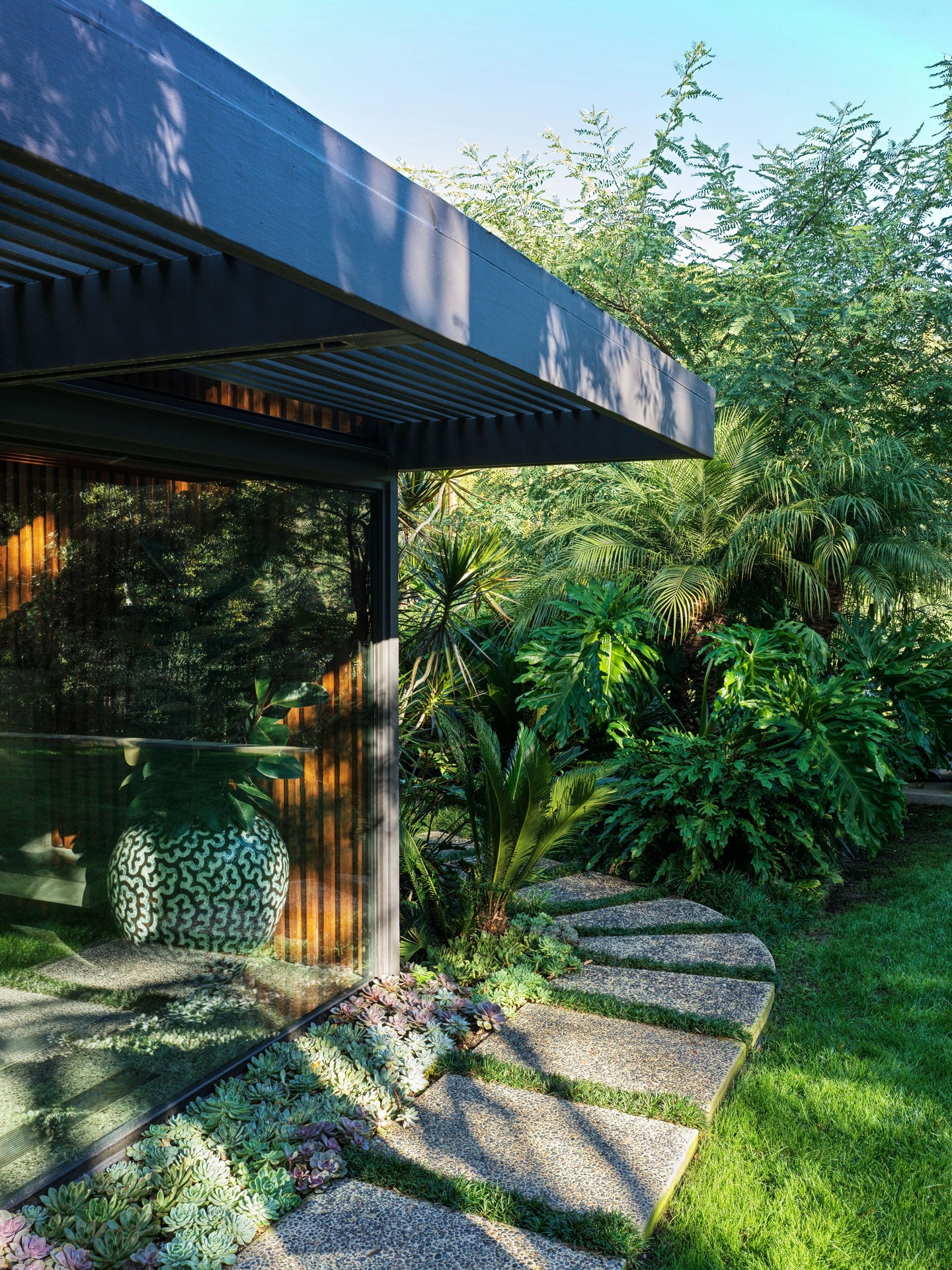 BILLY WALSH WROTE SUNFLOWER THEN BUILT HIS OWN EDEN (image 2)