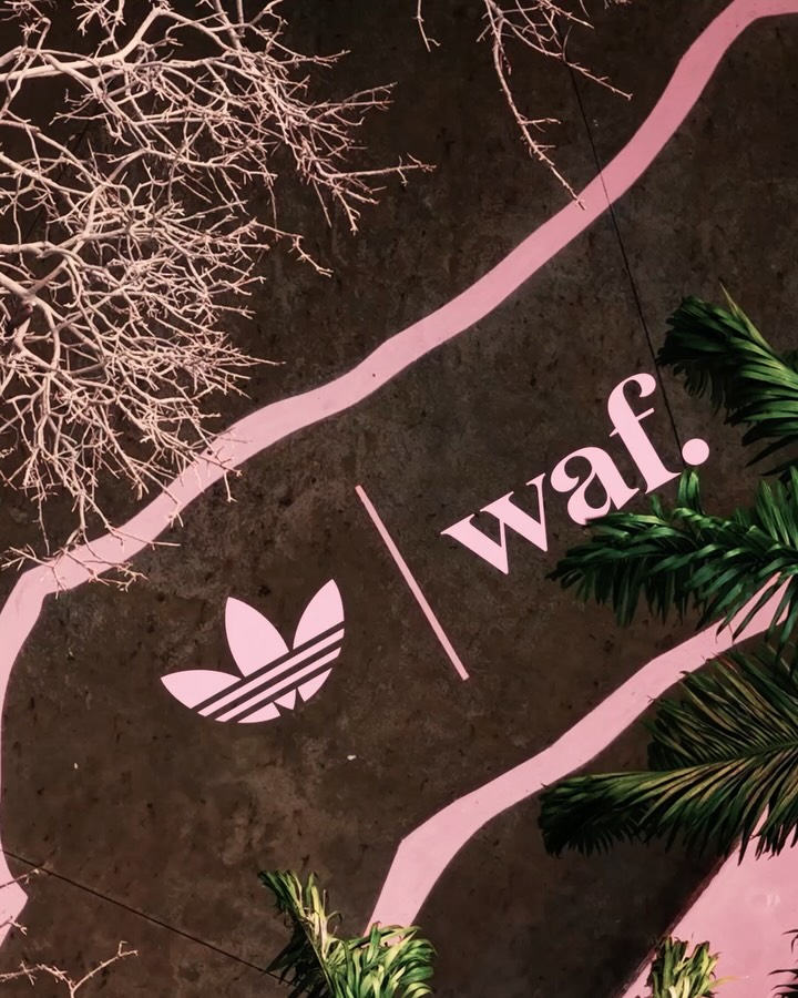 WAF Superstar ADV sneaker with leather upper and breathable mesh, inspired by Lagos Island, from adidas Skateboarding and Wafflesncream