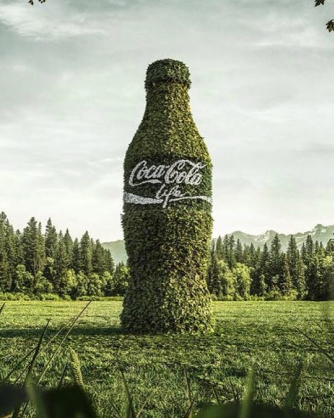 Coca Cola Life's Green Can Lost the Middle to Zero Sugar (image 5)