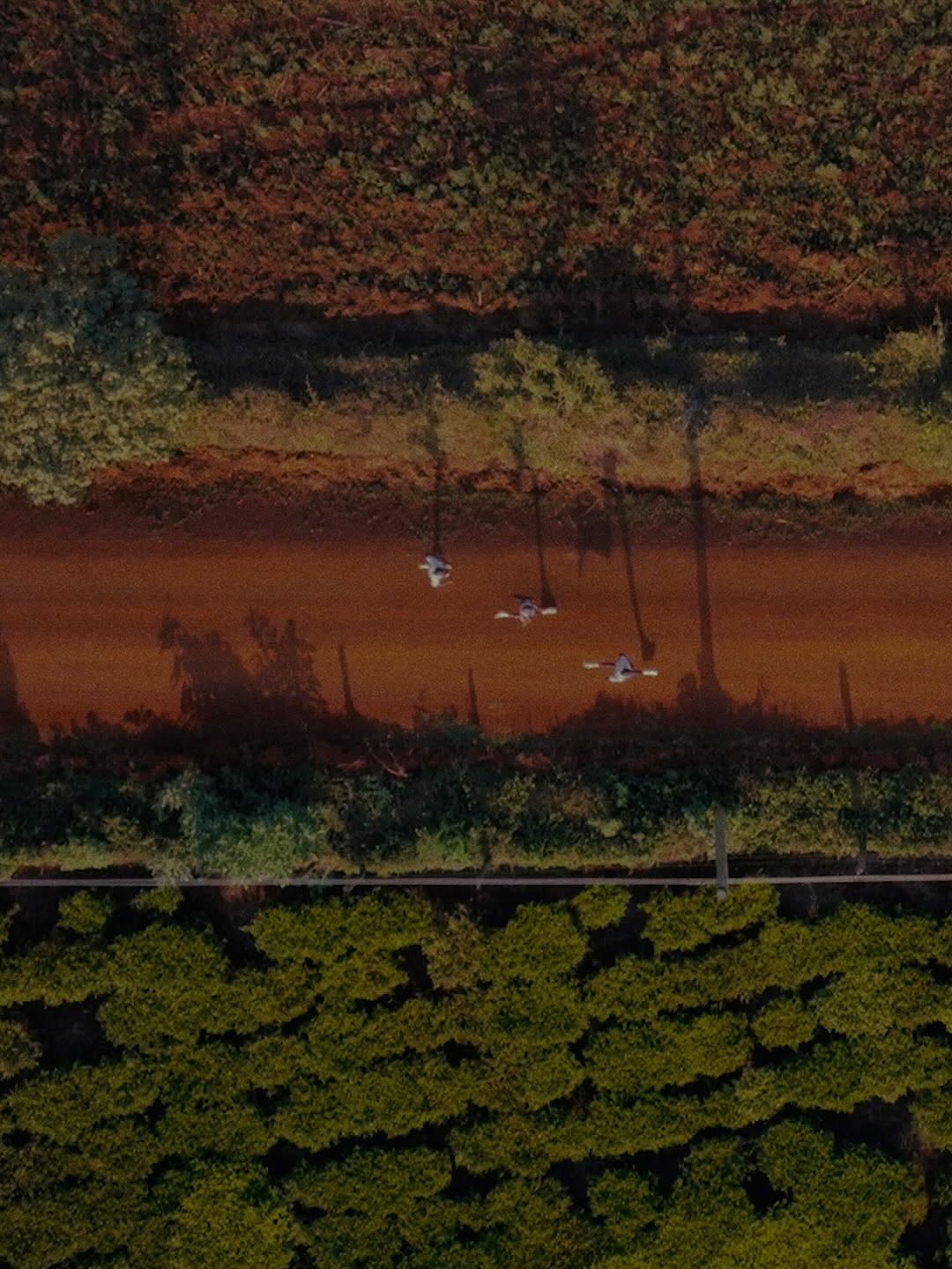 Sabastian Sawe Ran 1:59:30 at London. The Film Behind the Number. (image 3)