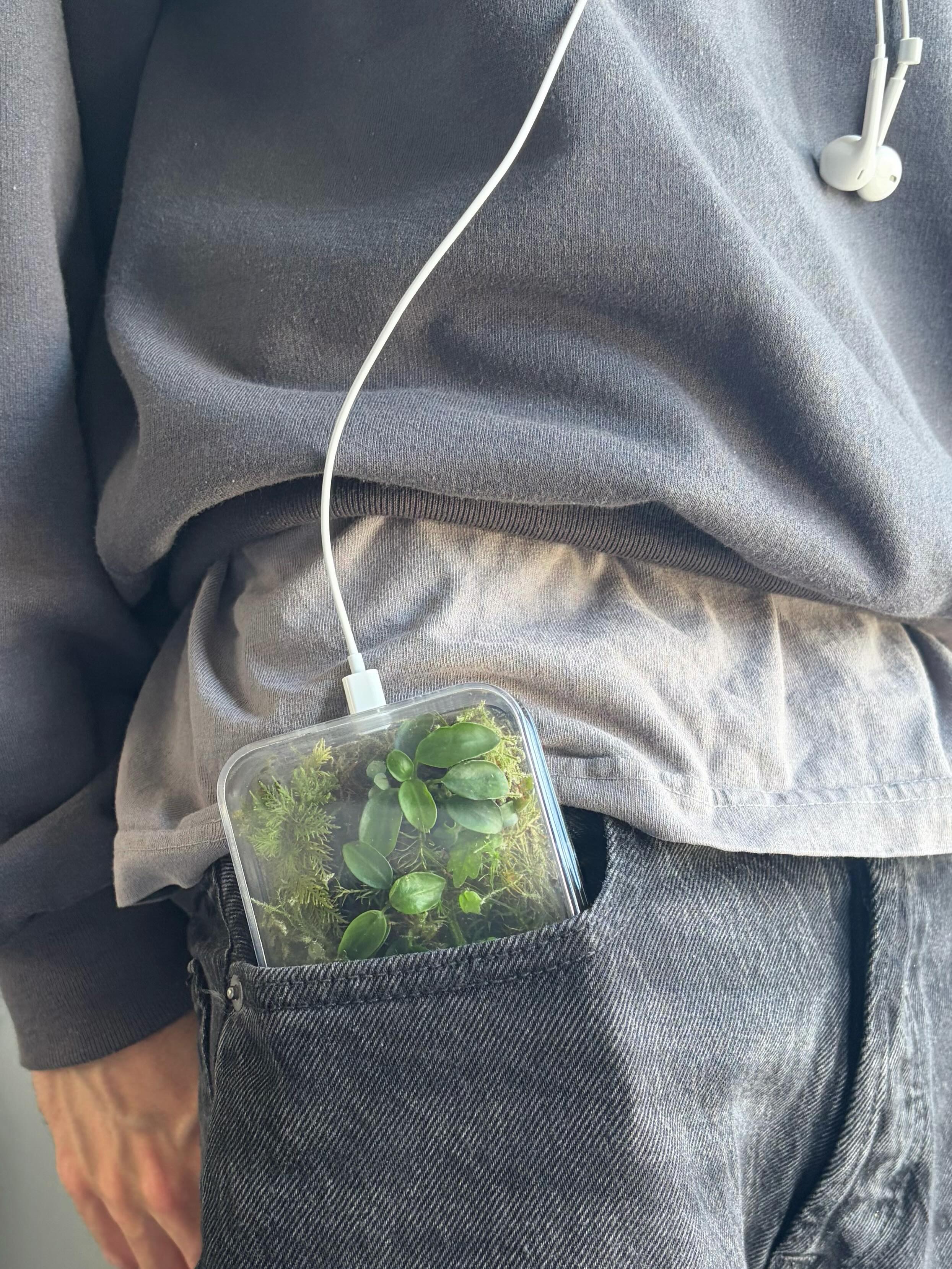 The cover image from Apple's Shot on iPhone Instagram post captioned Bring your own biome, credited to danielidle.