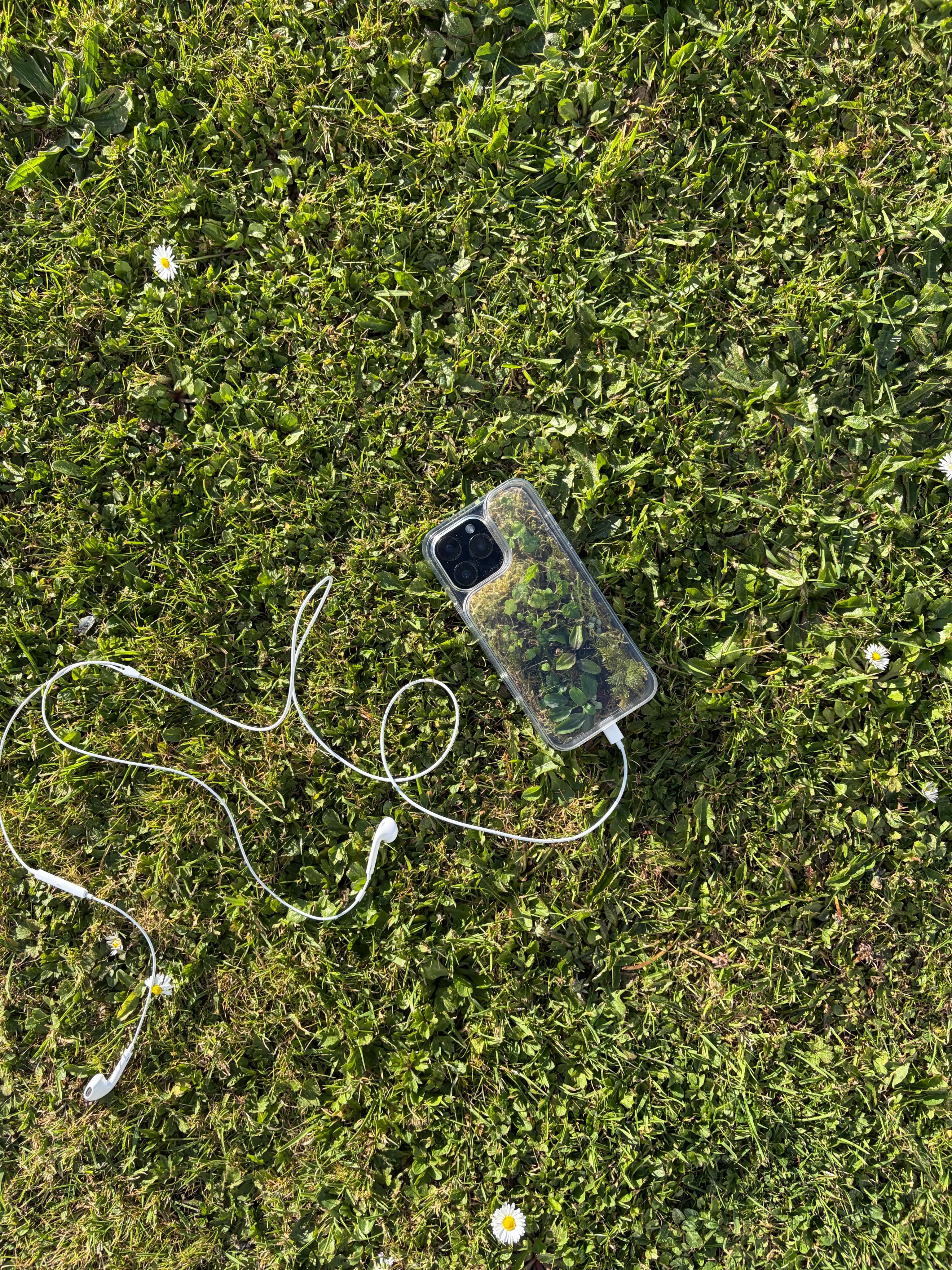 APPLE'S BIOME PHOTO OUTEARNS EVERY AD IT PAID FOR (image 2)