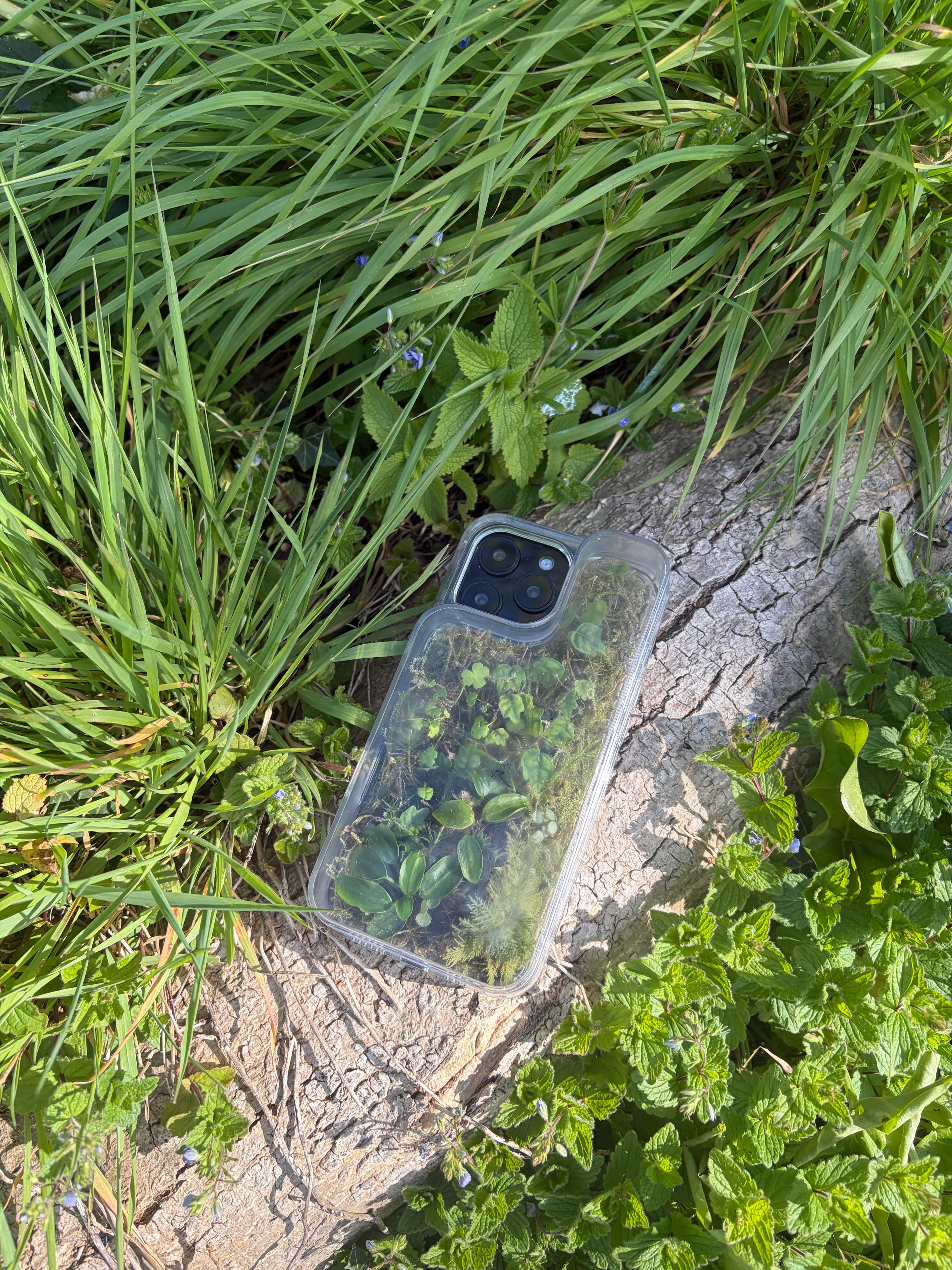 APPLE'S BIOME PHOTO OUTEARNS EVERY AD IT PAID FOR (image 4)
