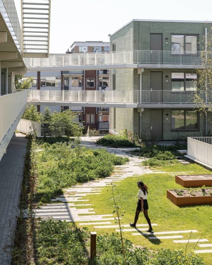 JVST'S STEENZICHT PUTS 118 HOMES BEHIND A RAISED GARDEN (image 7)