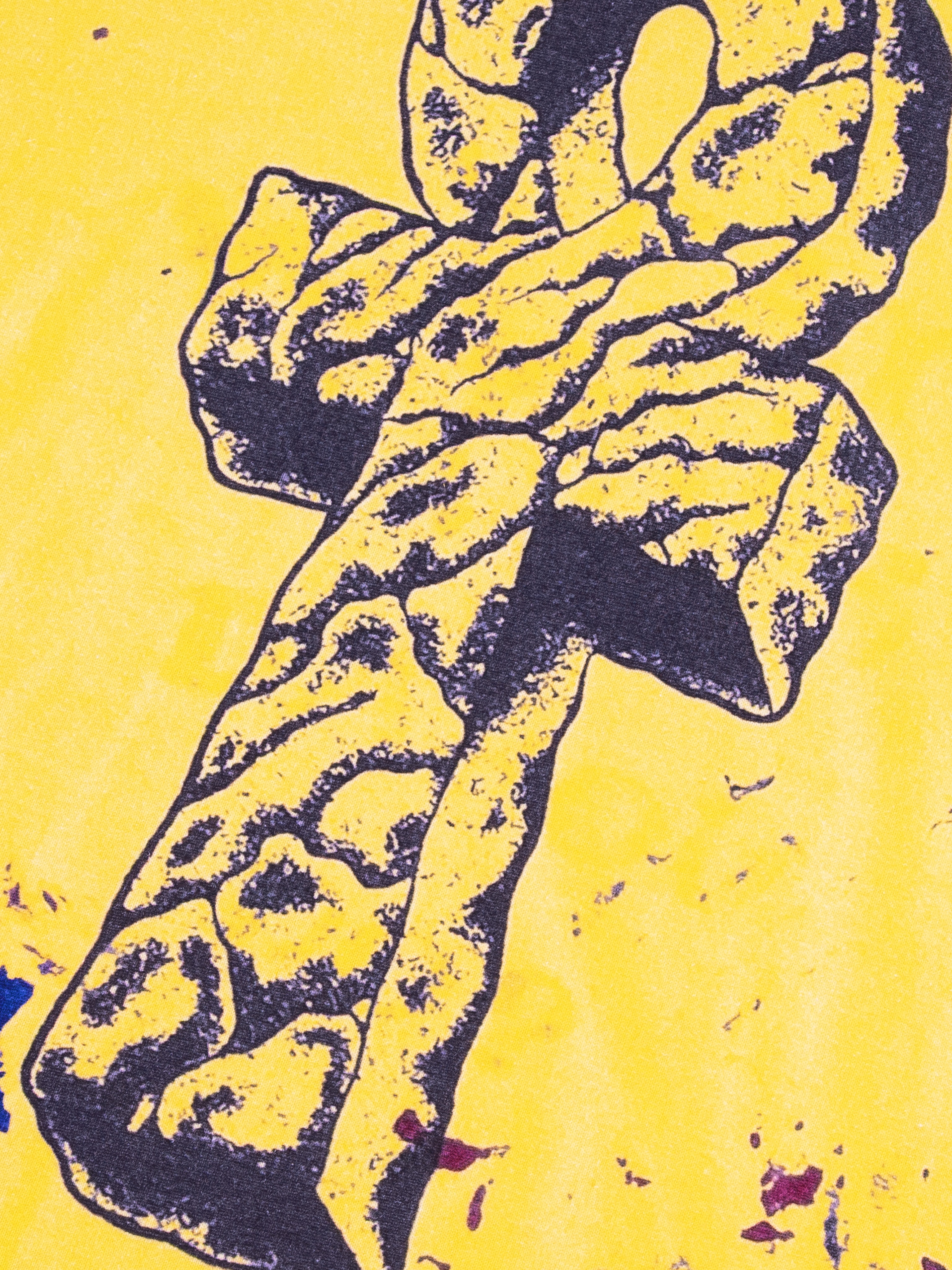 CARPET COMPANY SCANS ITS OWN TEST PRINT RAGS INTO A TEE (image 7)