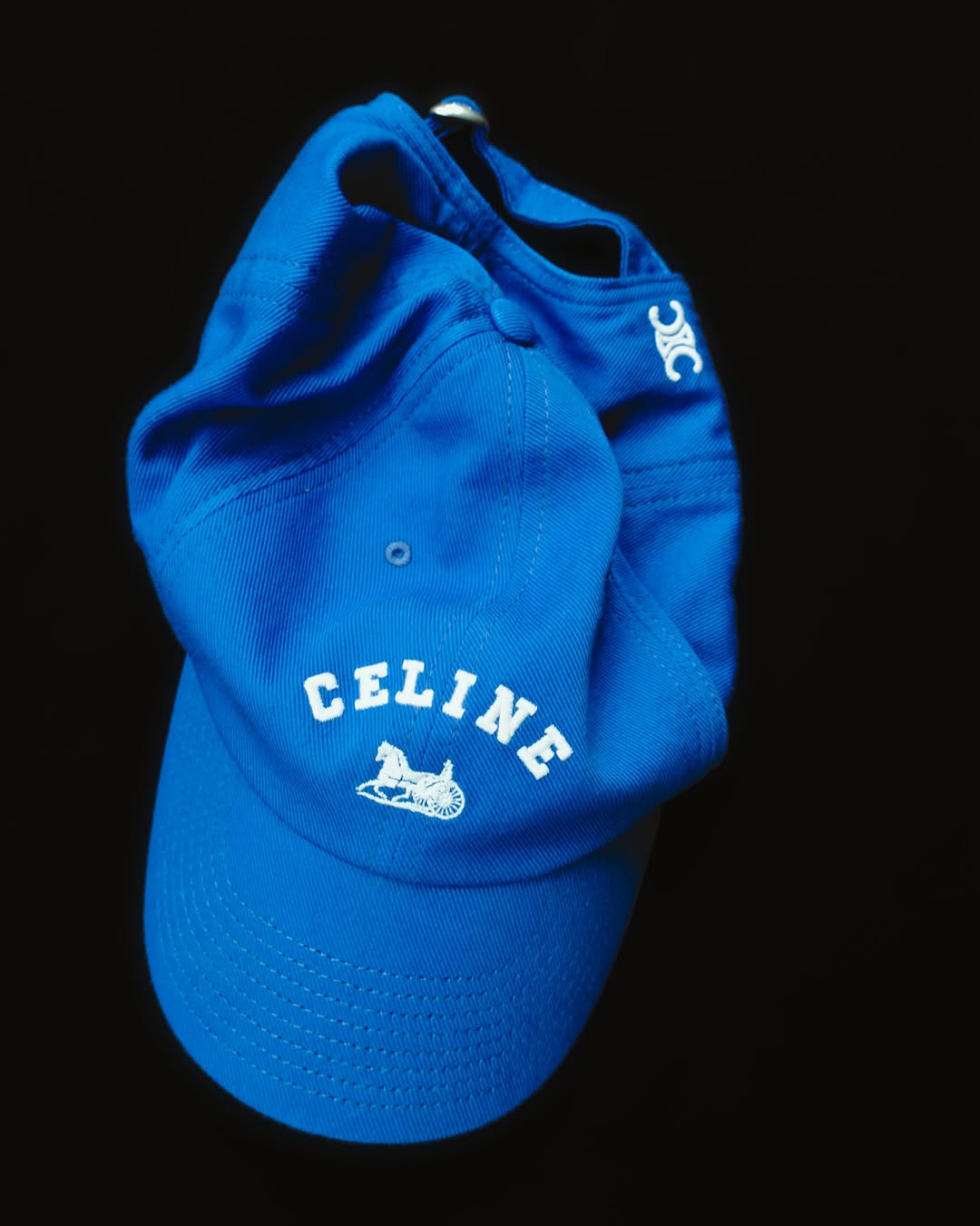 CELINE SAYS BIENVENUE. MICHAEL RIDER MEANS IT. (image 2)