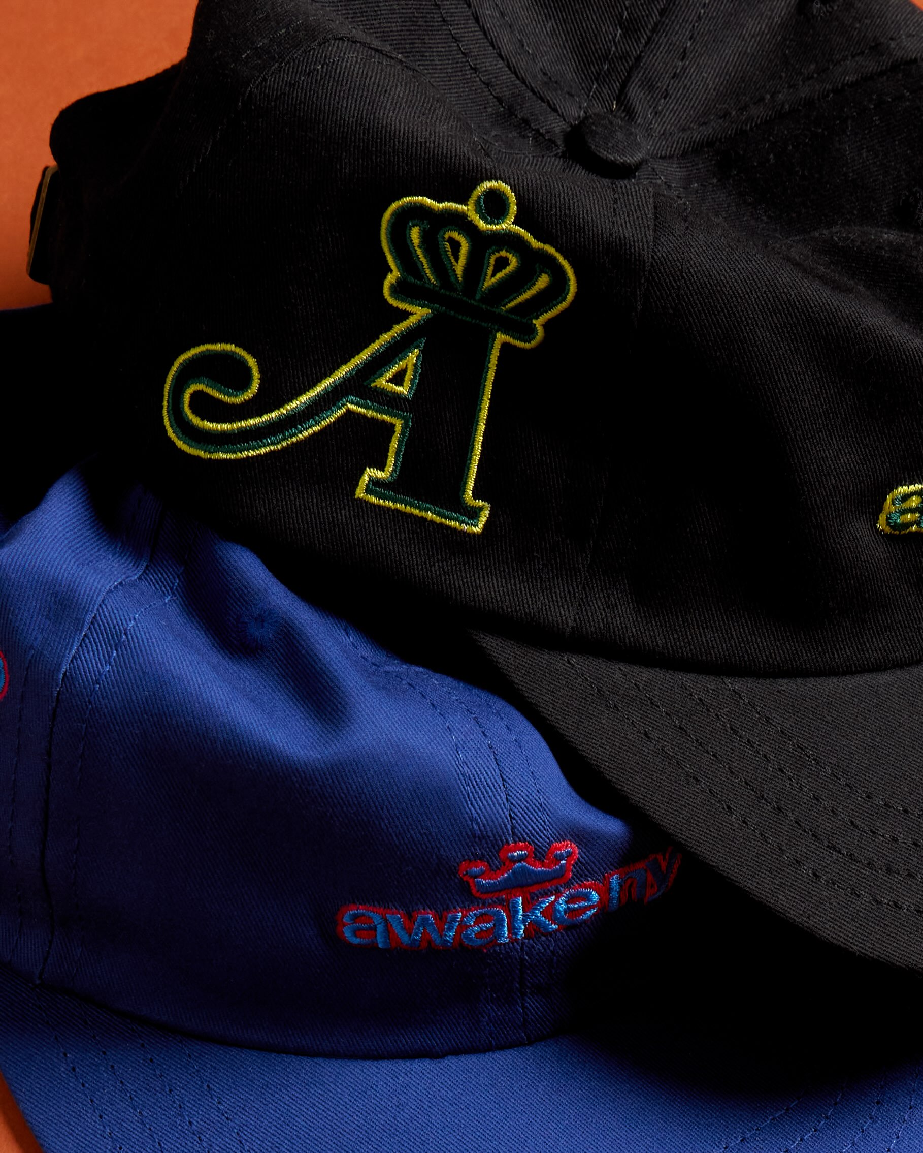 AWAKE NY SUMMER '26 LANDS AT CONCEPTS IN ITS 30TH YEAR (image 2)
