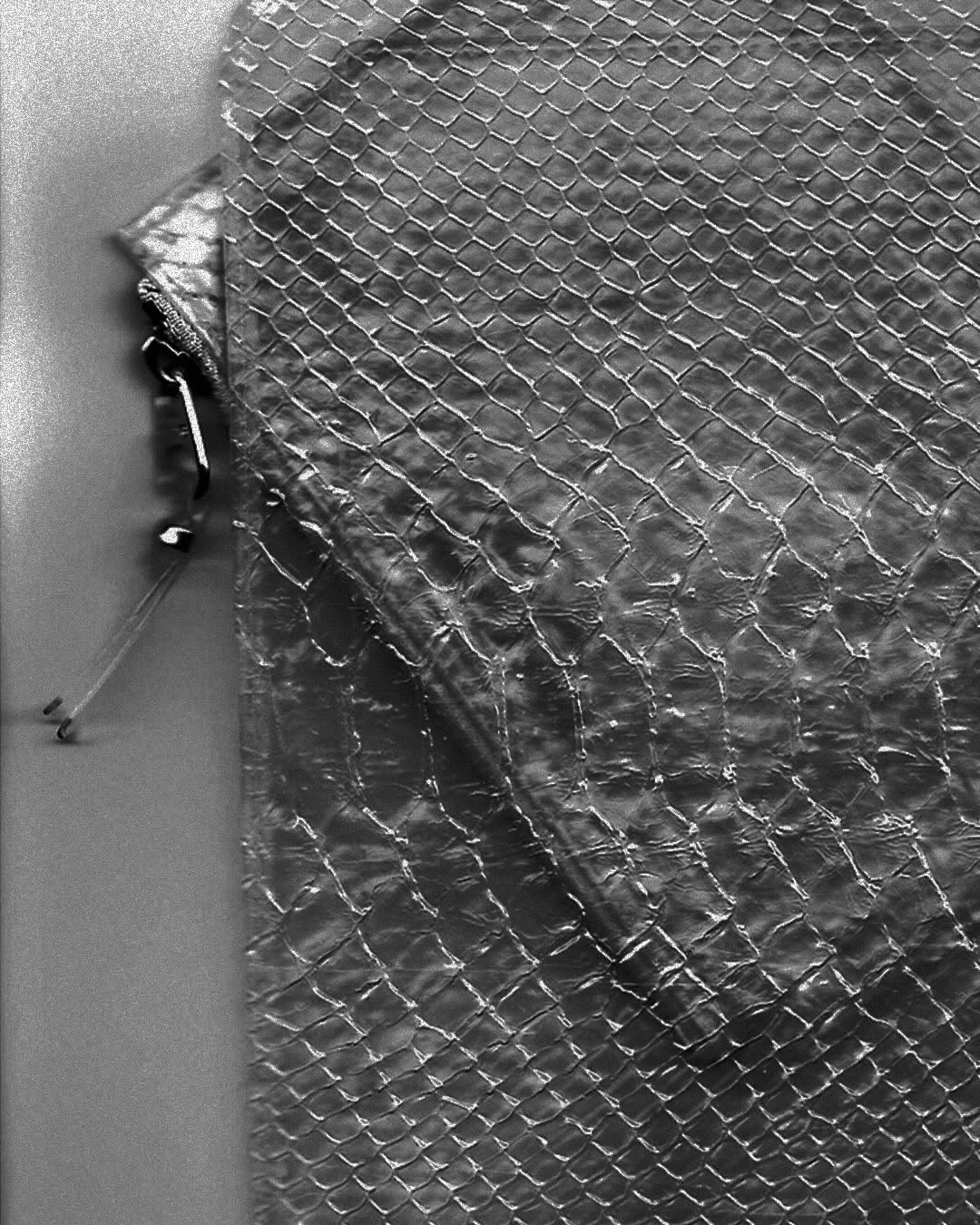 COMME DES GARCONS WALLET TRANSPARENT SNAKE COLLECTION (image 2)