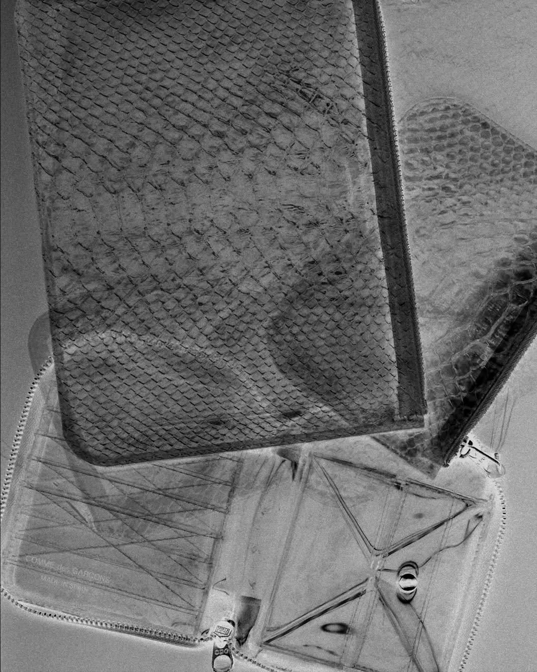COMME DES GARCONS WALLET TRANSPARENT SNAKE COLLECTION (image 4)