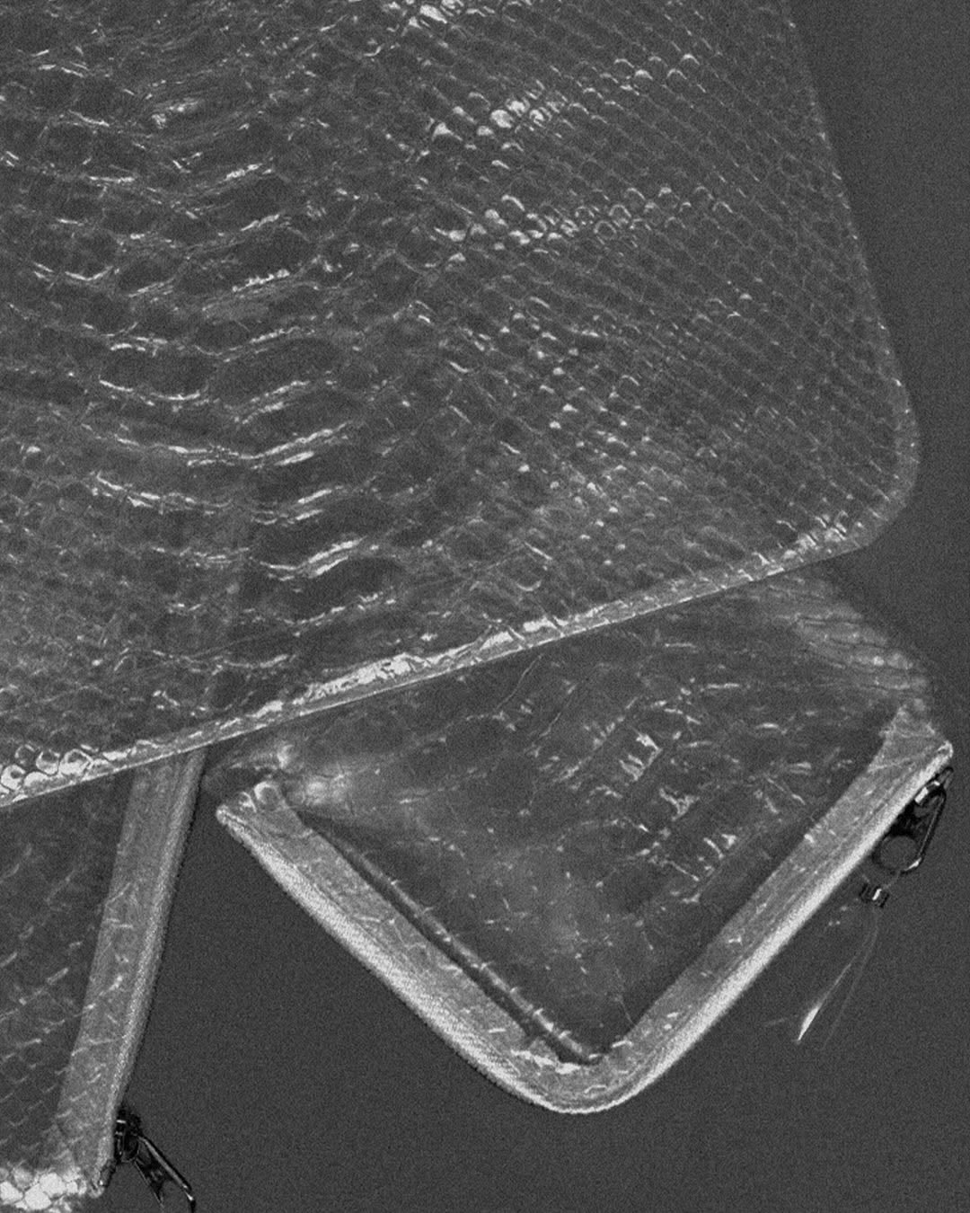 COMME DES GARCONS WALLET TRANSPARENT SNAKE COLLECTION (image 6)