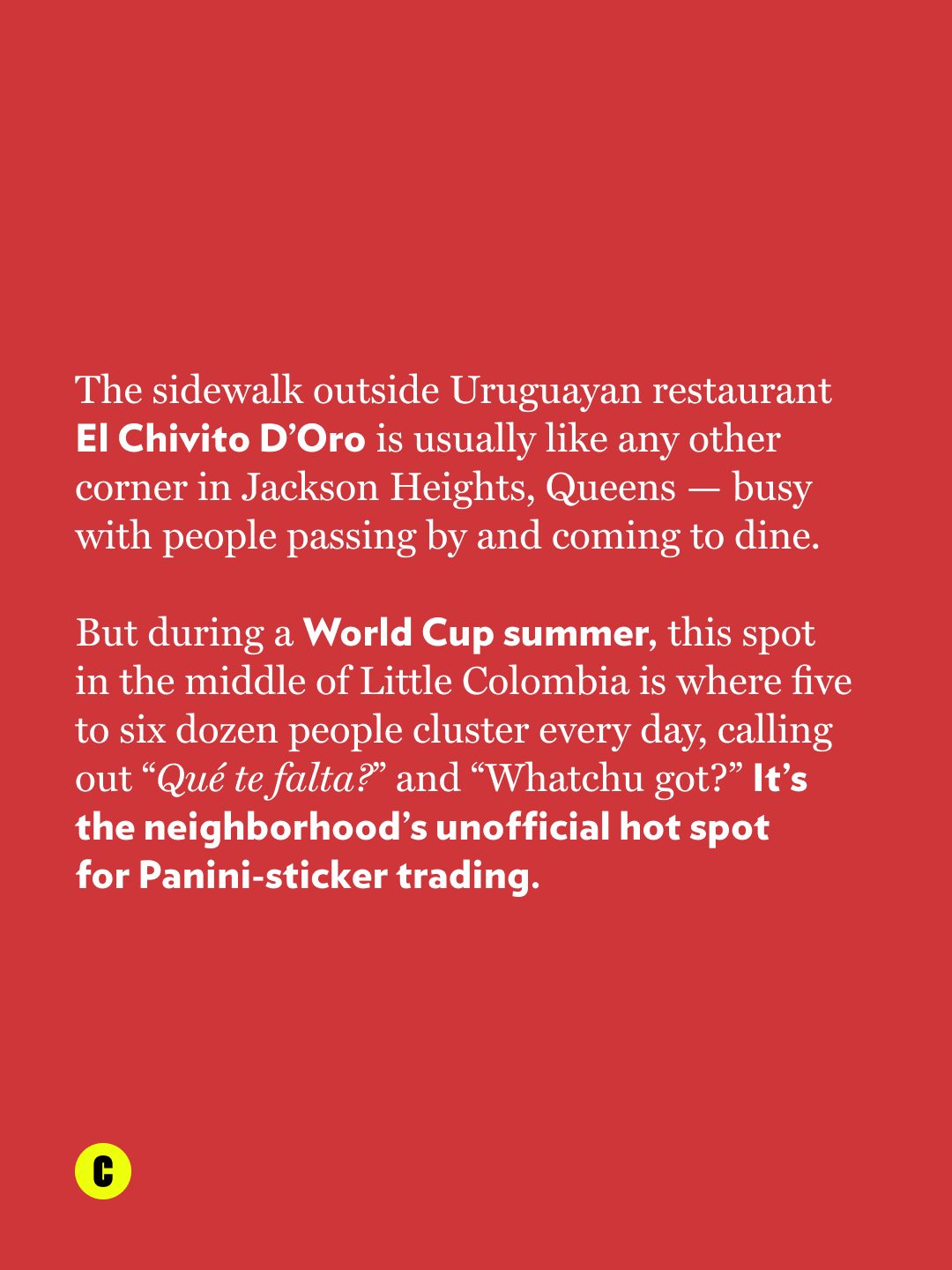 PANINI STICKER TRADERS HAVE MET IN QUEENS SINCE 2010 (image 3)