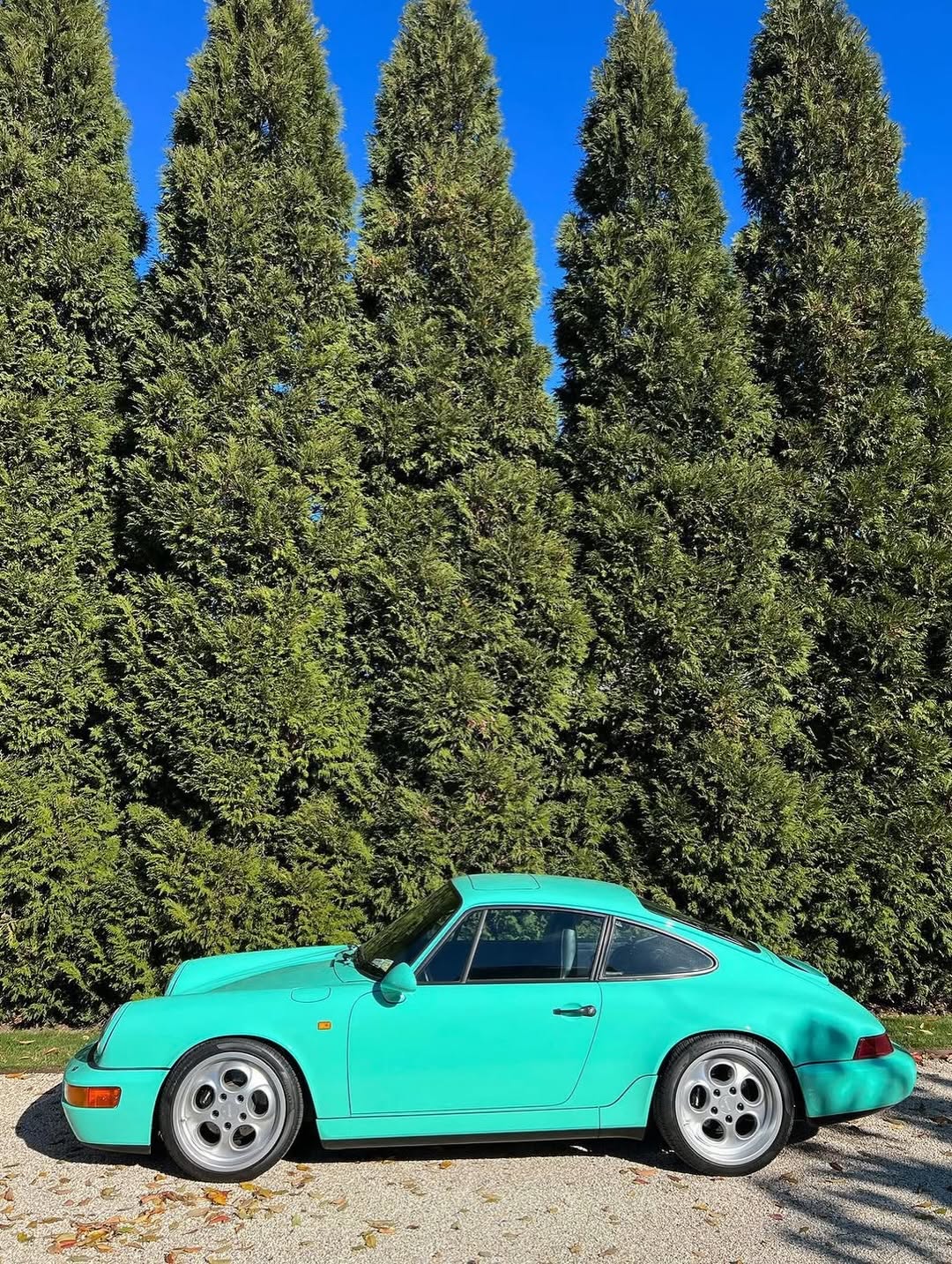 Arsham's 1991 Mint Green 964 Arrived From Japan (image 6)