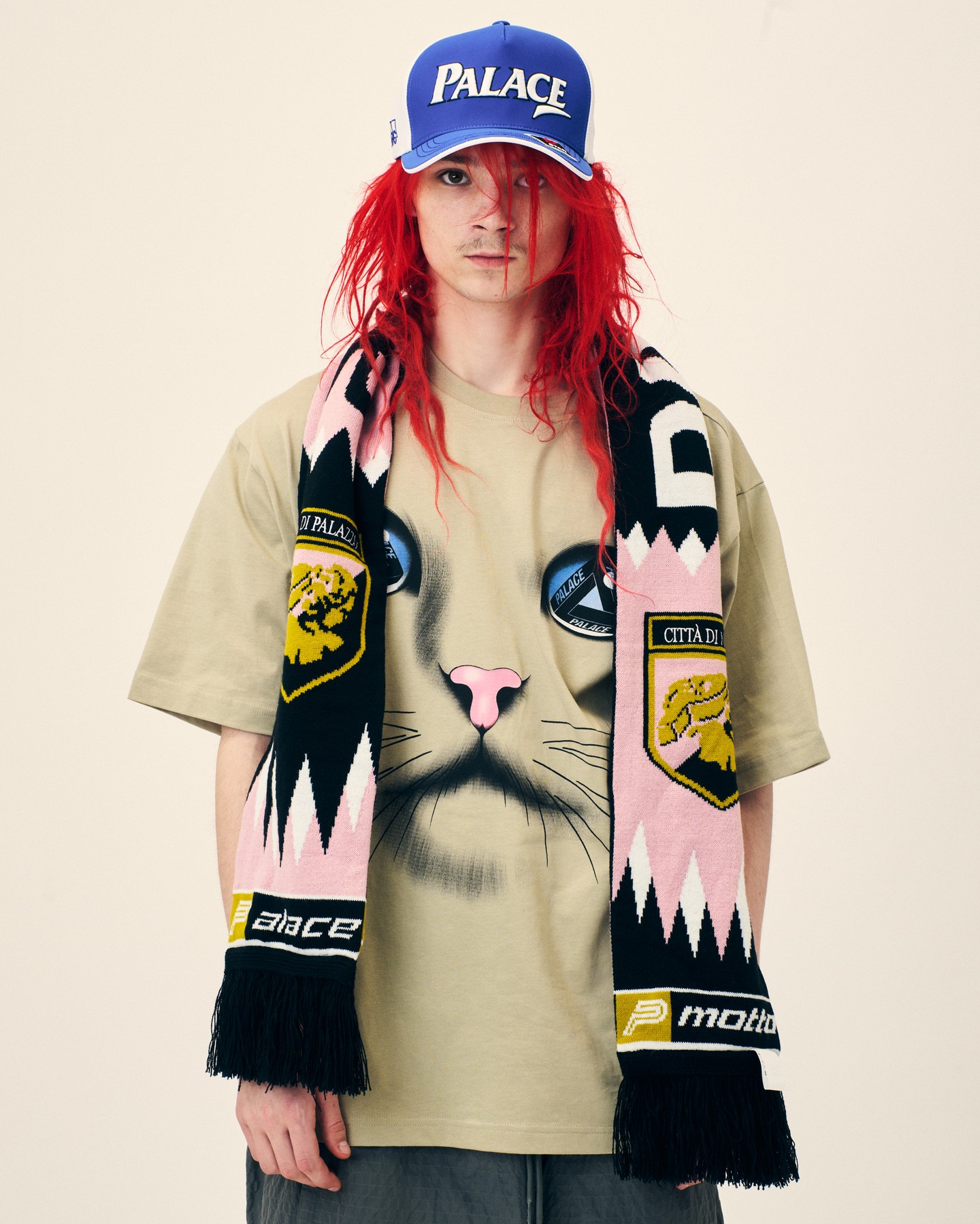 PALACE AUTUMN 26 DROP 1 HITS DSM LA IN STORE ONLY (image 4)