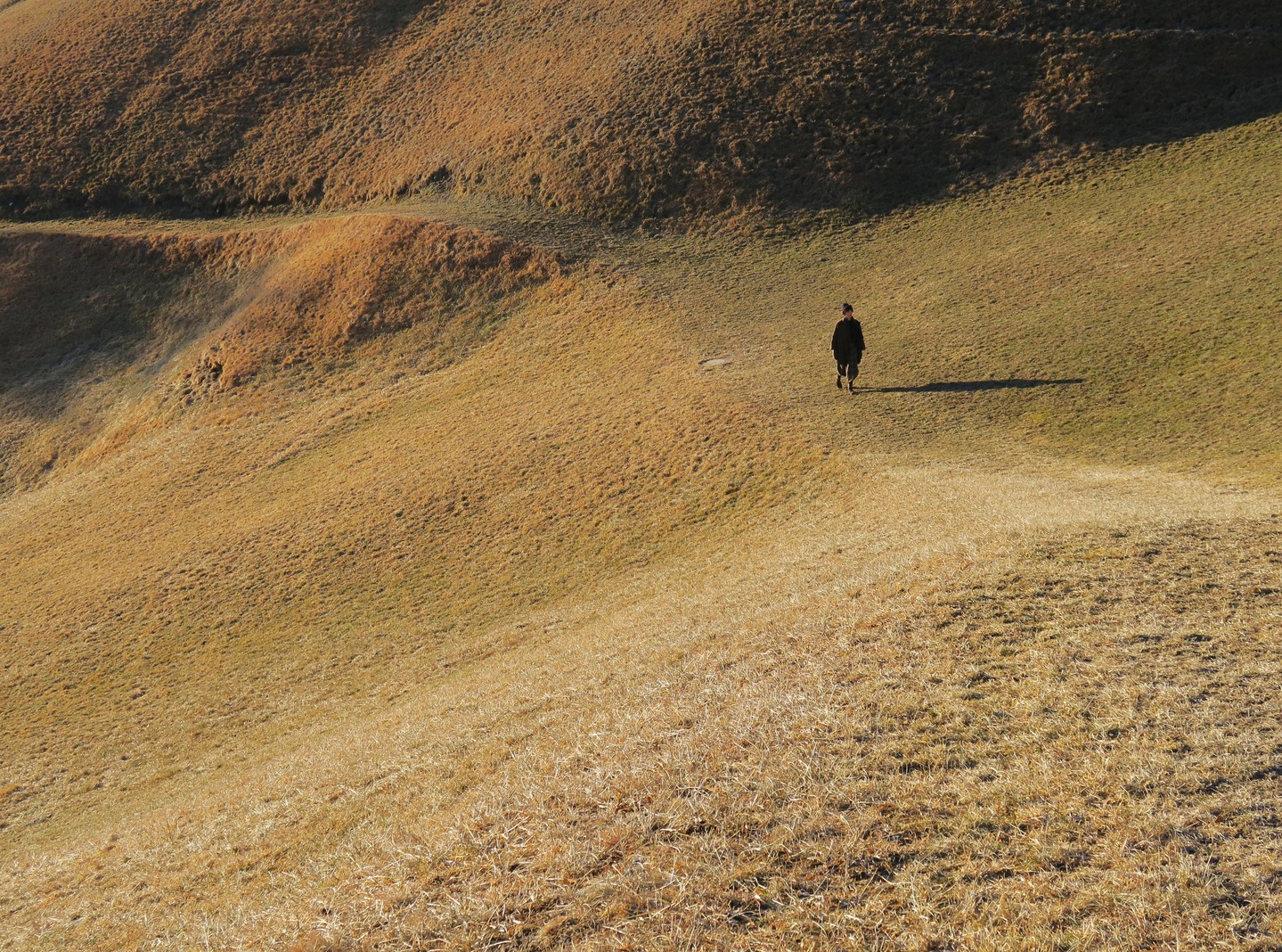 DANIELA GREGIS FW26 FINDS ITS OUTLINE IN THE SNOW (image 4)