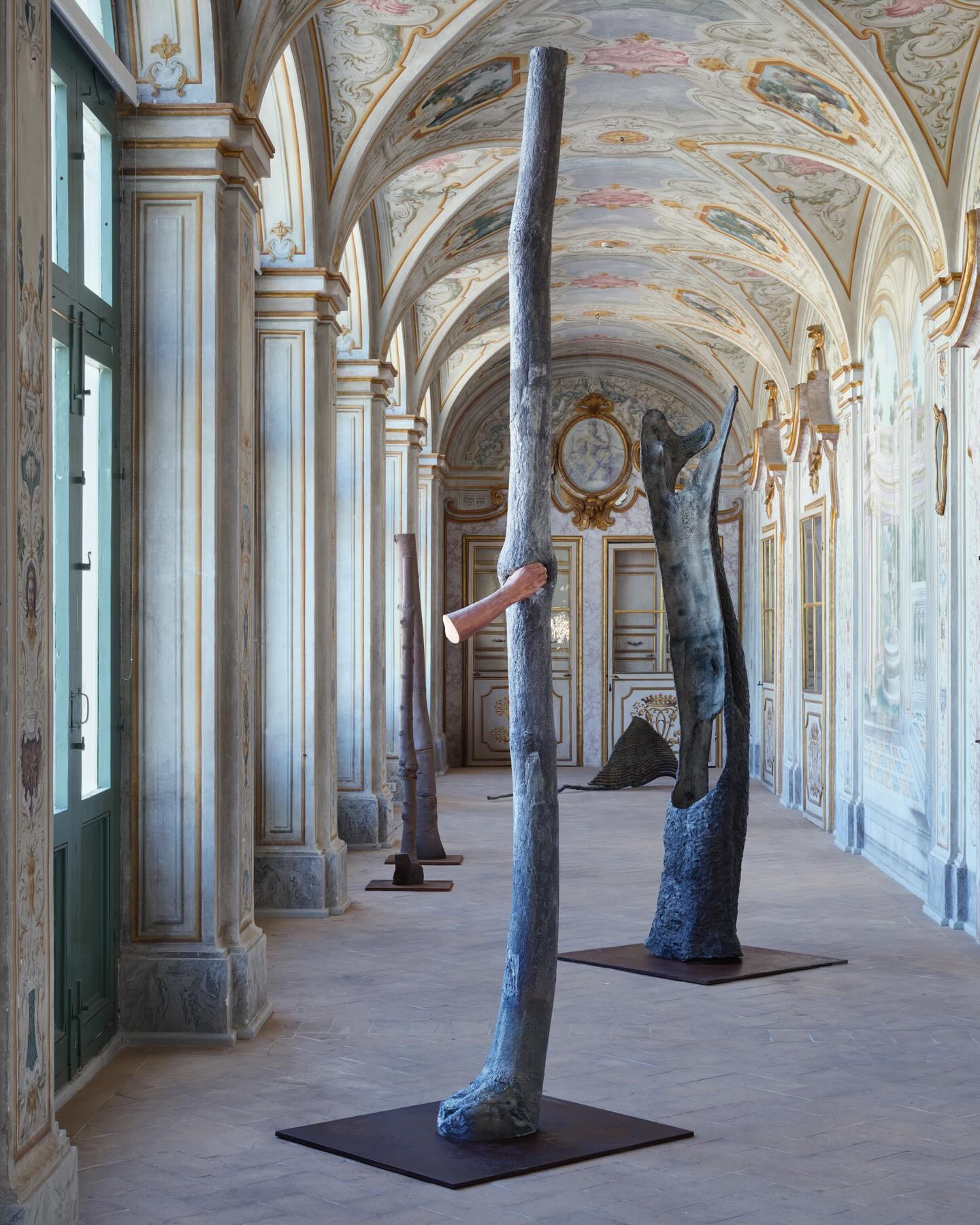 GIUSEPPE PENONE'S UPSIDE DOWN TREE OWNS SPOLETO (image 2)