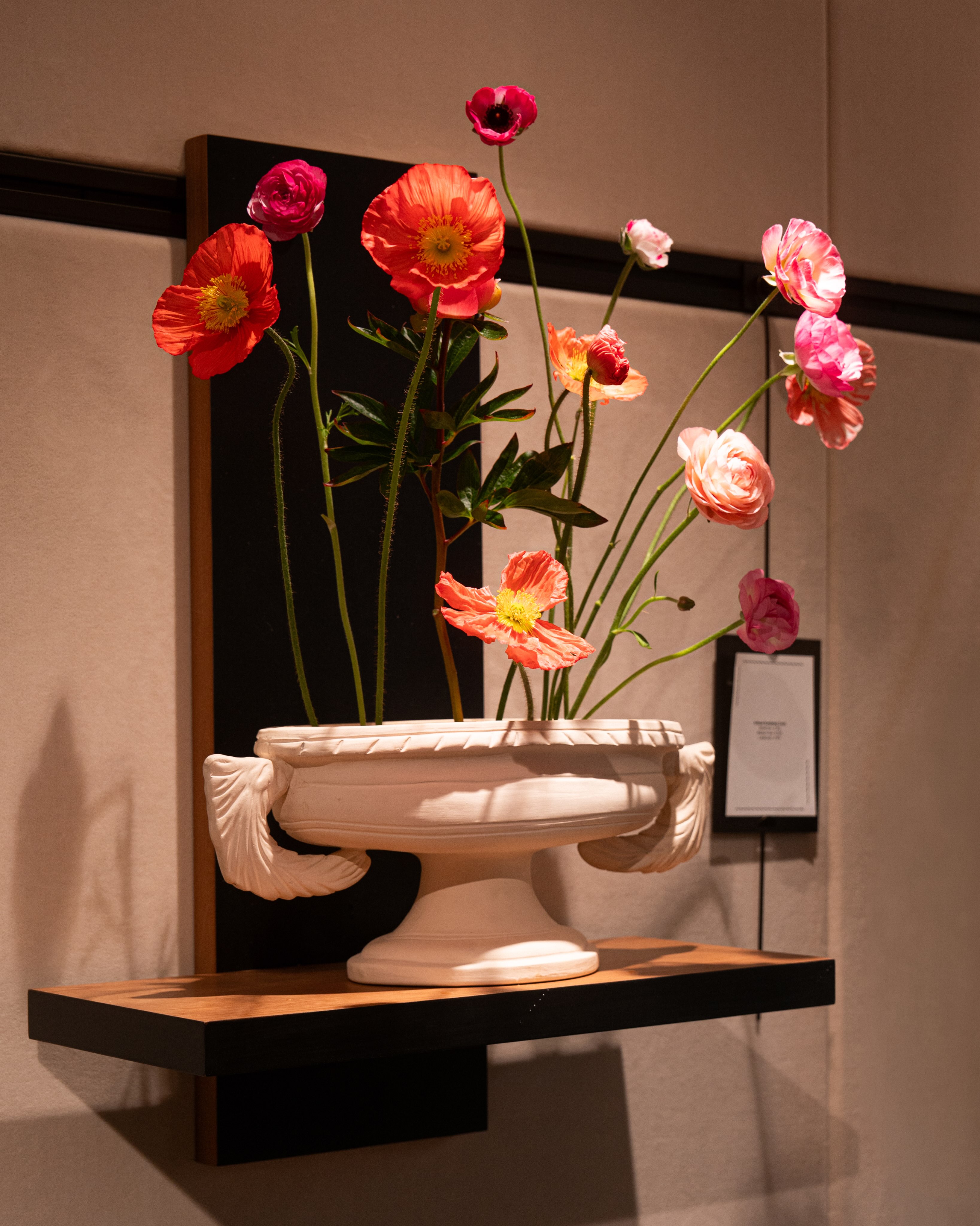 JW ANDERSON DISPLAYS 15 CONSTANCE SPRY VASES IN PIMLICO (image 6)