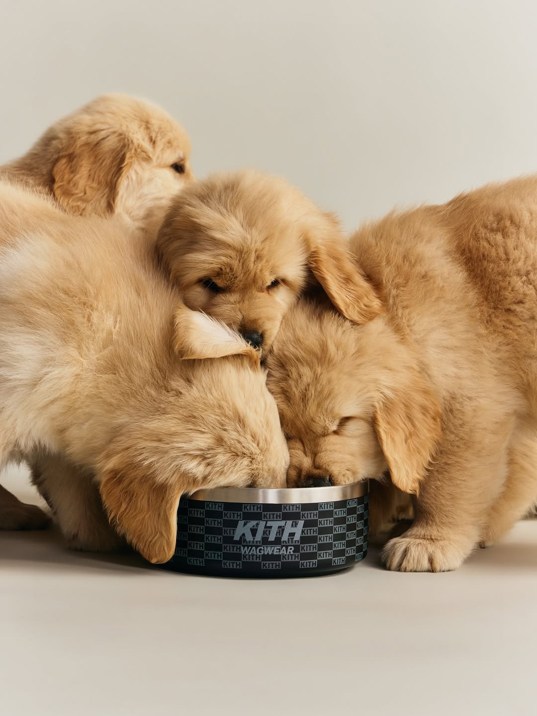 KITH FOR WAGWEAR: THE MONDAY PROGRAM GOES TO THE DOG