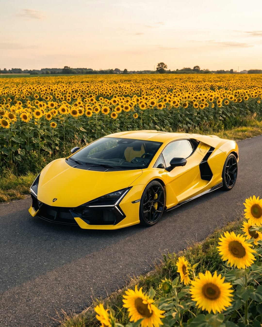 LAMBORGHINI POSTED BEES AND 350 G/KM ON THE SAME DAY