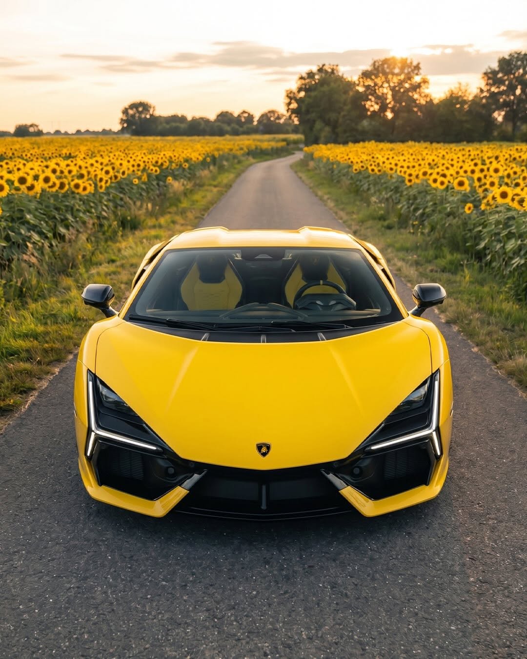 LAMBORGHINI POSTED BEES AND 350 G/KM ON THE SAME DAY (image 3)