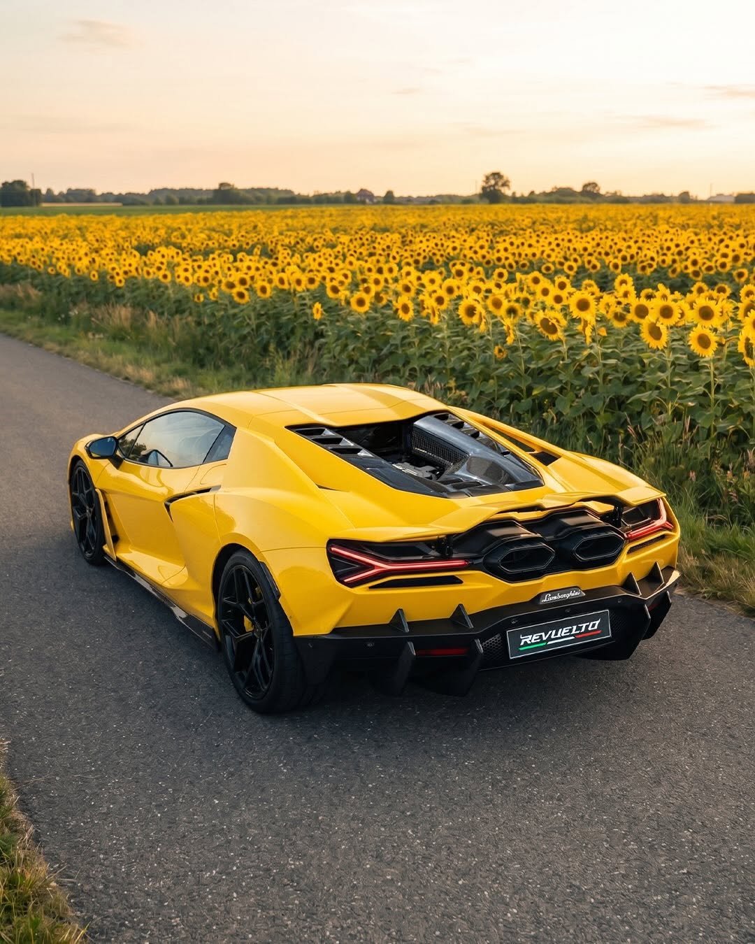 LAMBORGHINI POSTED BEES AND 350 G/KM ON THE SAME DAY (image 4)
