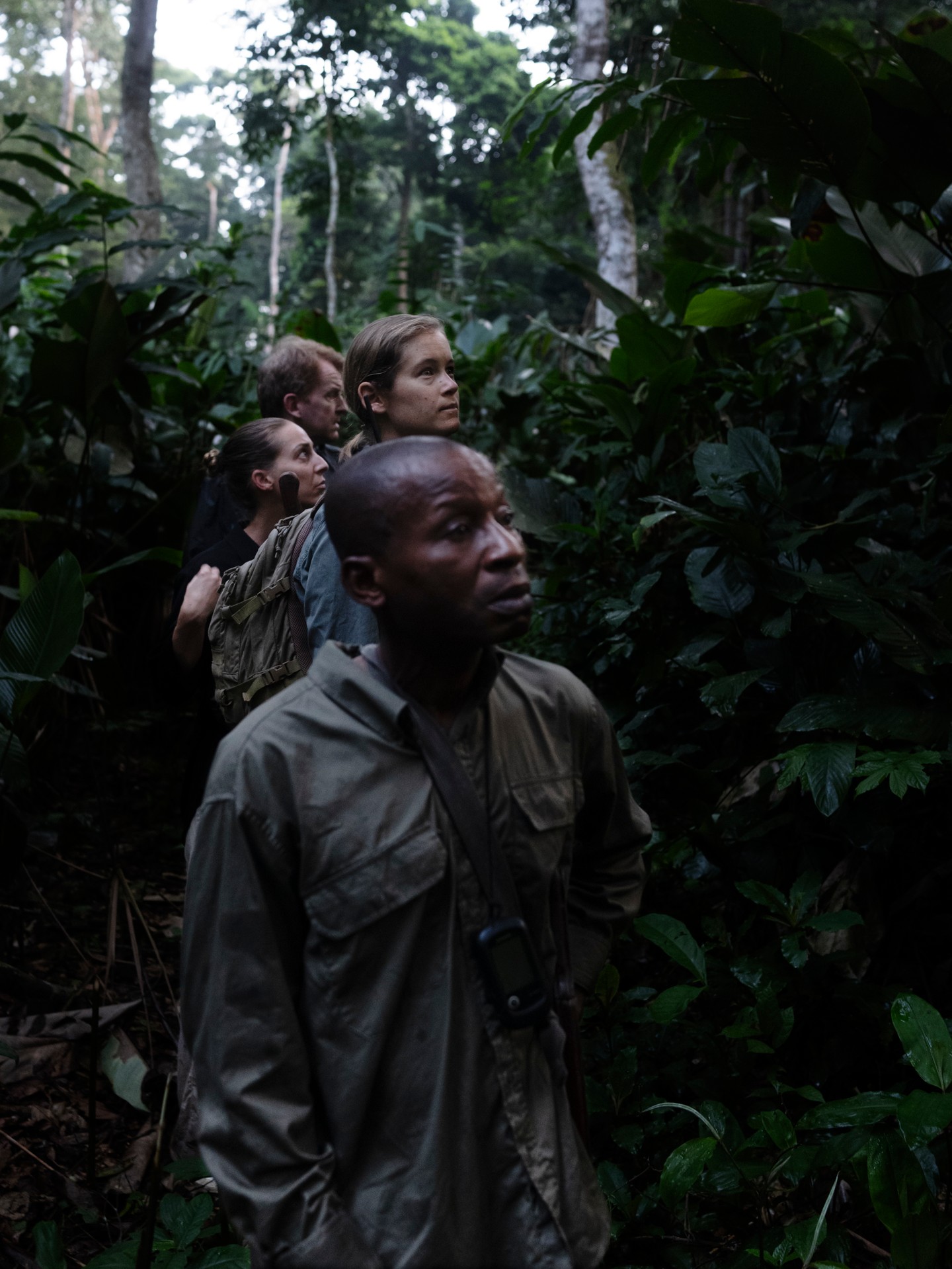 LEICA'S MATHIAS DEPARDON SHOOTS CONGO'S 7,585 GORILLAS (image 2)