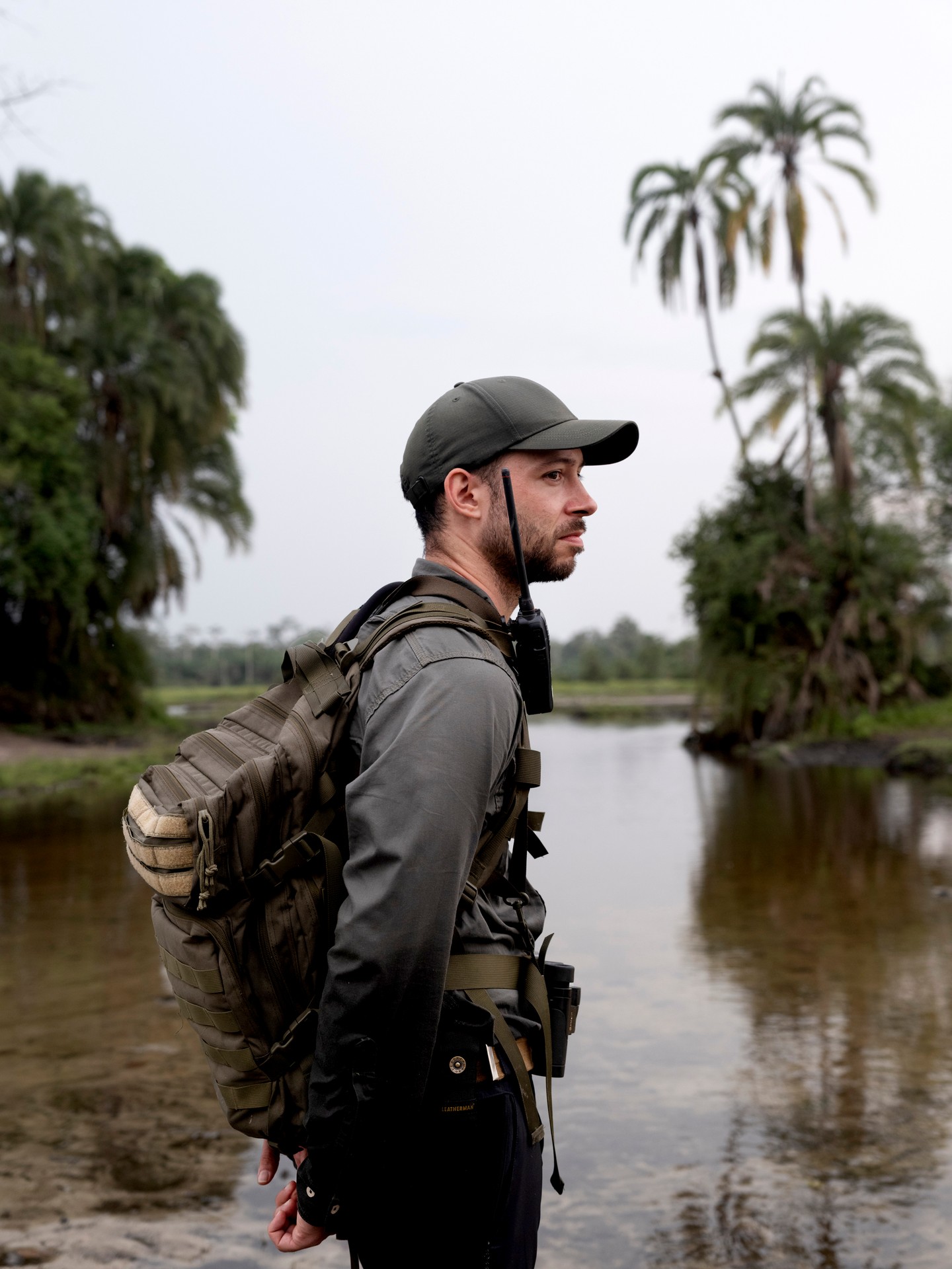 LEICA'S MATHIAS DEPARDON SHOOTS CONGO'S 7,585 GORILLAS (image 6)