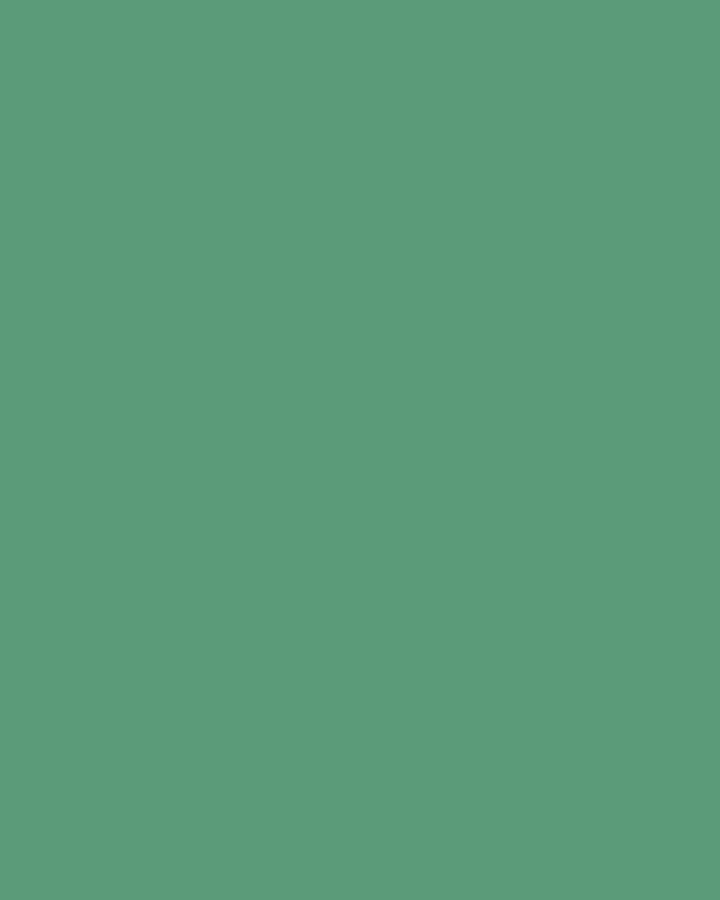 Jeremy Allen White Carries the Green Speedy. Here Is What That Actually Means. (image 3)