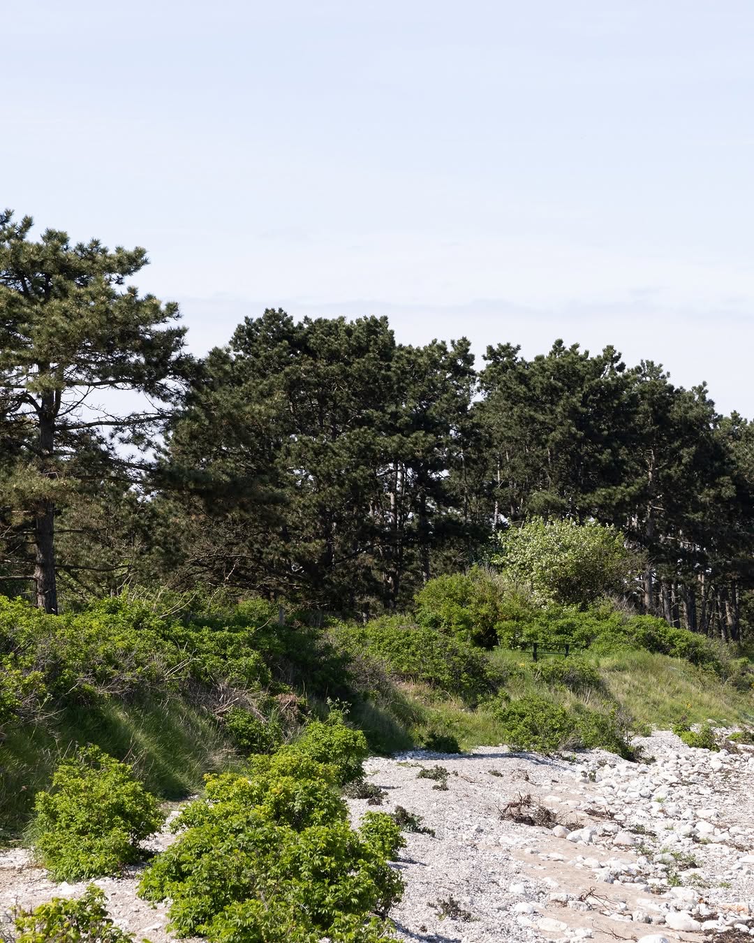 Norm Architects Shoreline Studio Uses Japanese Shakkei in Denmark (image 3)