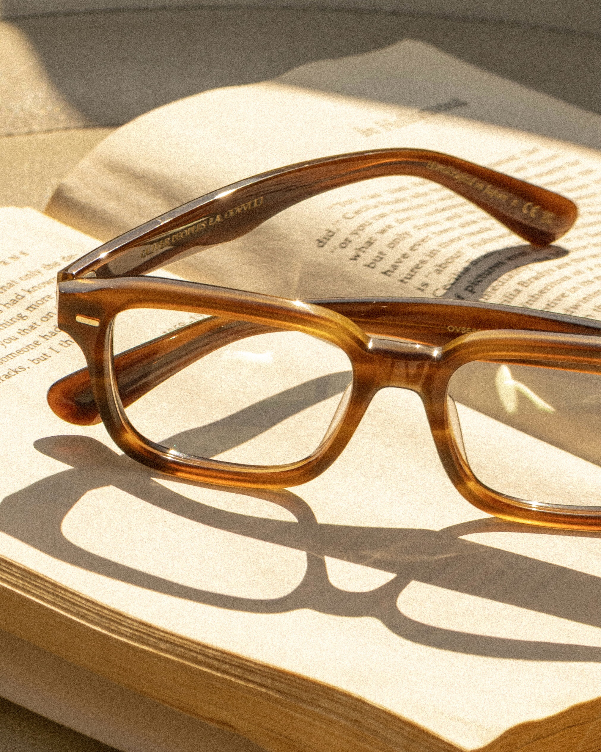 OLIVER PEOPLES PUTS THE ERRISSON IN SYCAMORE ACETATE (image 2)