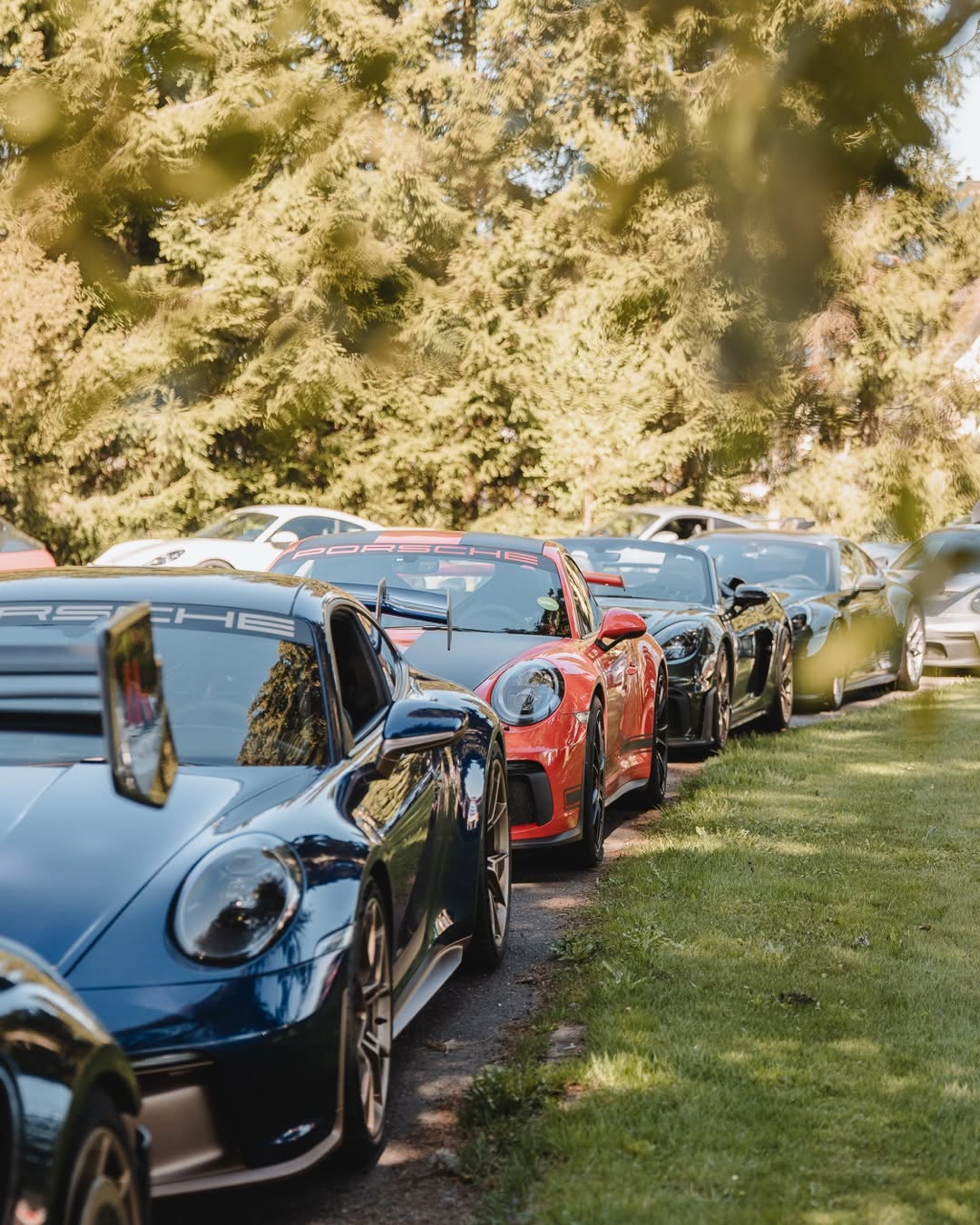 Porsche GT Circle Drove the Black Forest to Weissach (image 8)