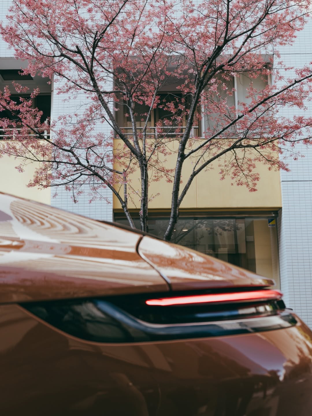 POGGY BRINGS TOKYO STYLE TO A CUSTOM PORSCHE 911 (image 9)
