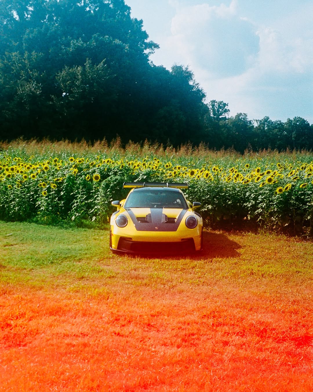 PORSCHE 911 GT3 RS SHOOTS YELLOW WHILE EV RUNS GREY (image 6)
