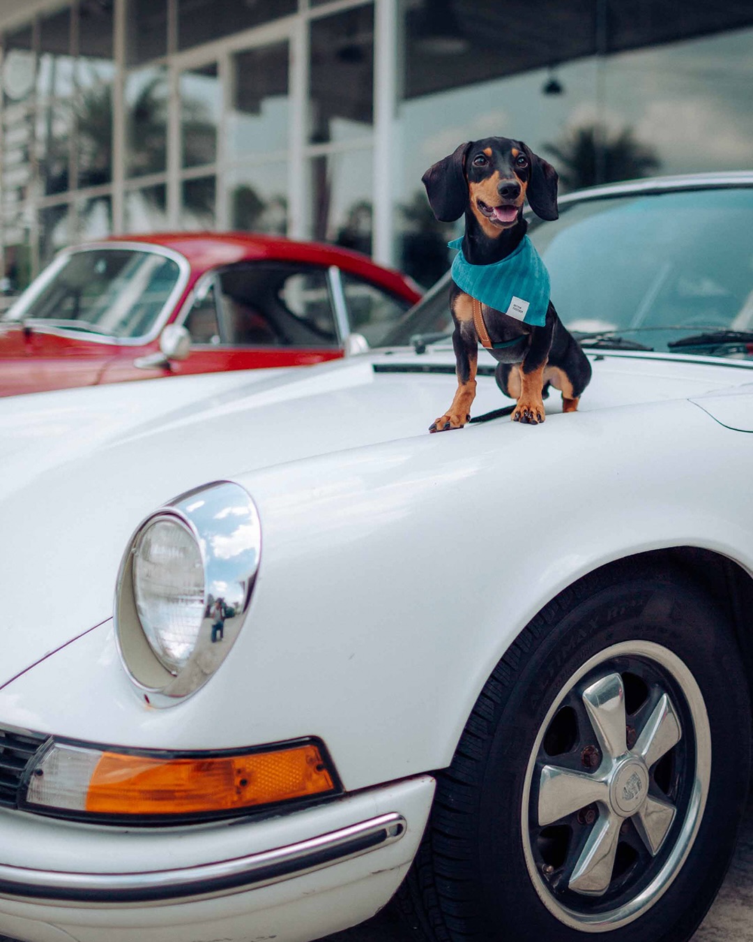 PORSCHE ADDS THE 911 TURBO S TO ITS SCTD WEEKEND (image 6)