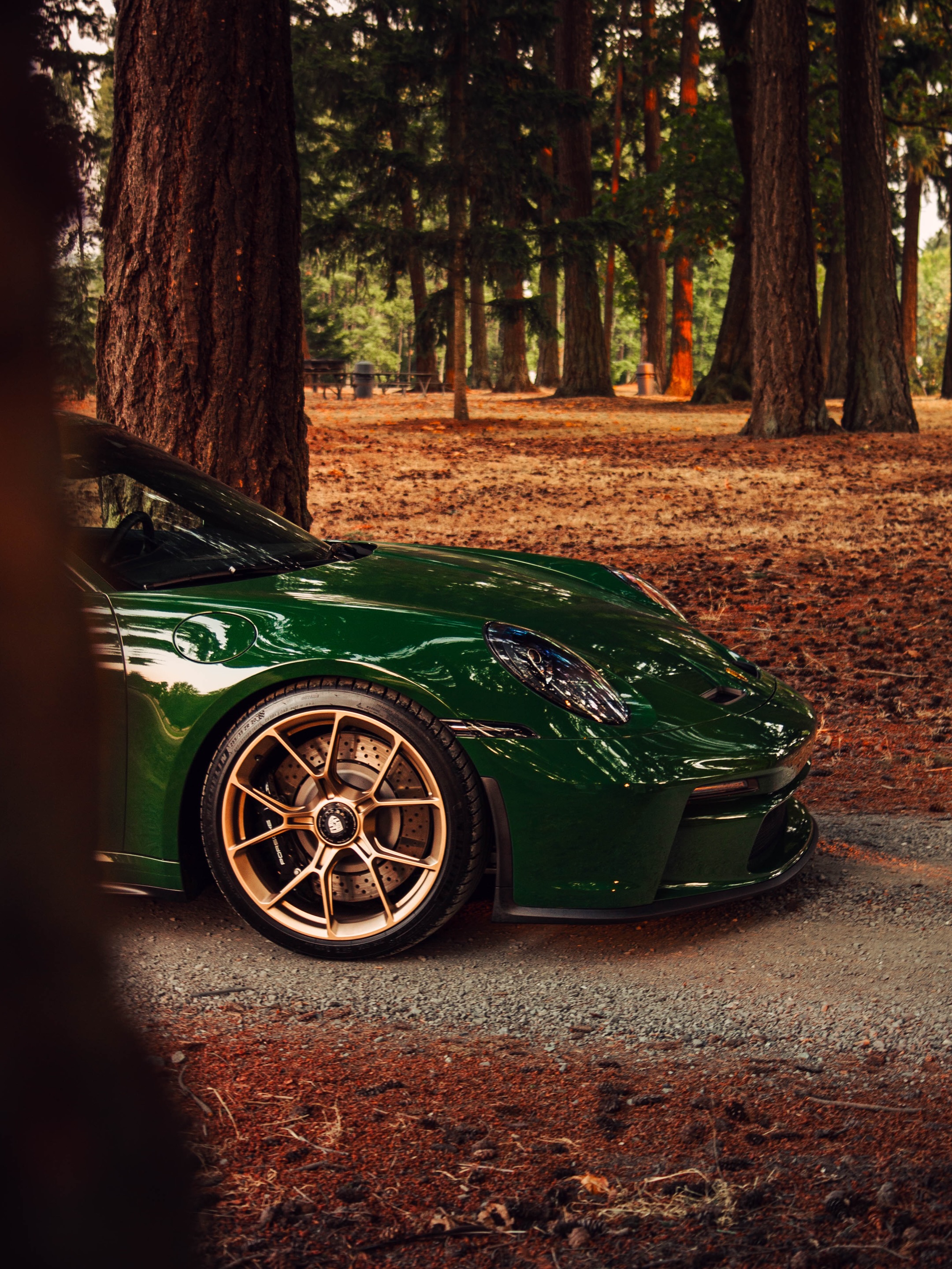 A green Porsche 911 GT3 Touring with gold coloured wheels sits in a wooded setting.