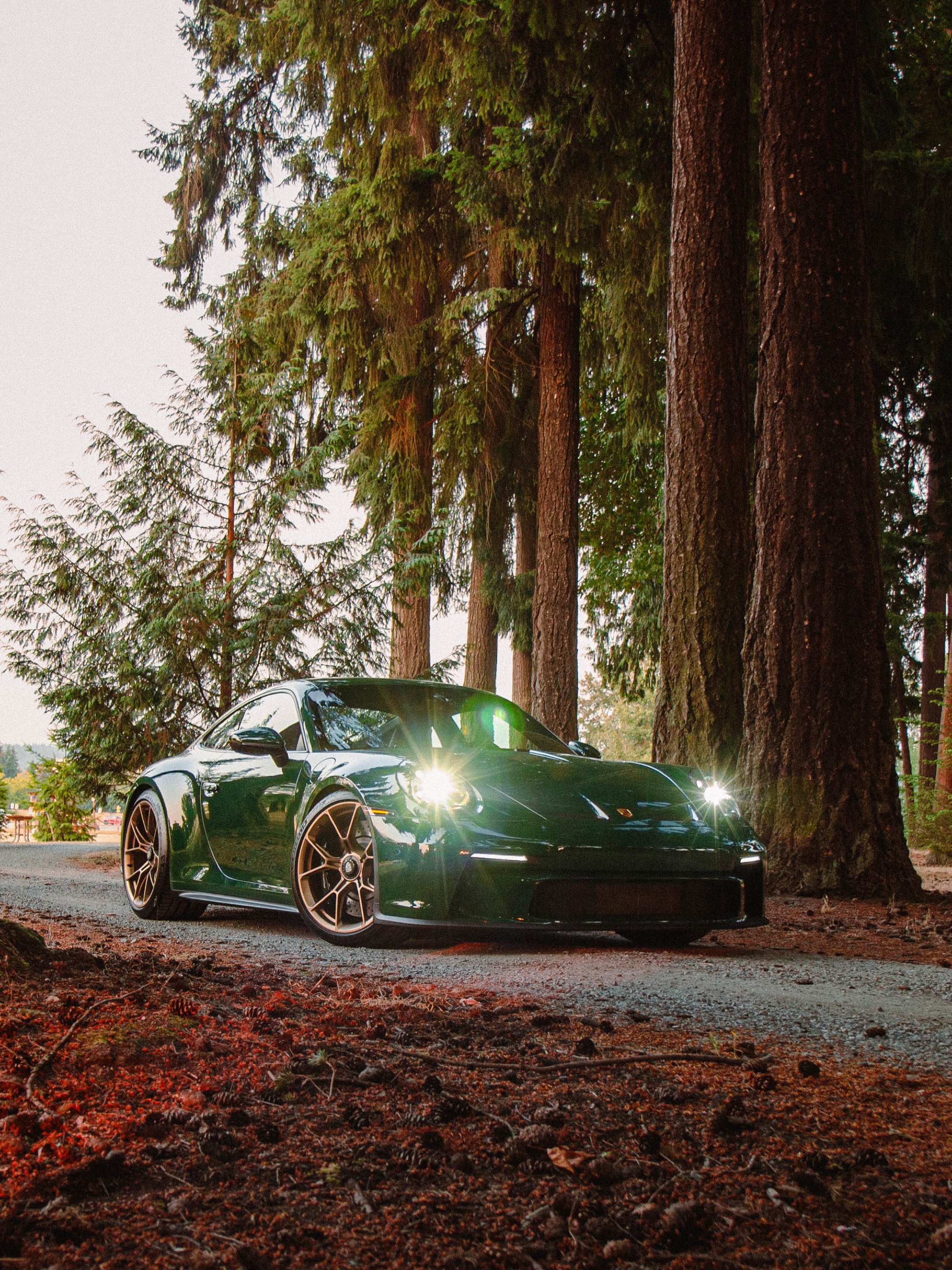 PORSCHE GT3 TOURING TAKES GREEN INTO THE FOREST (image 3)