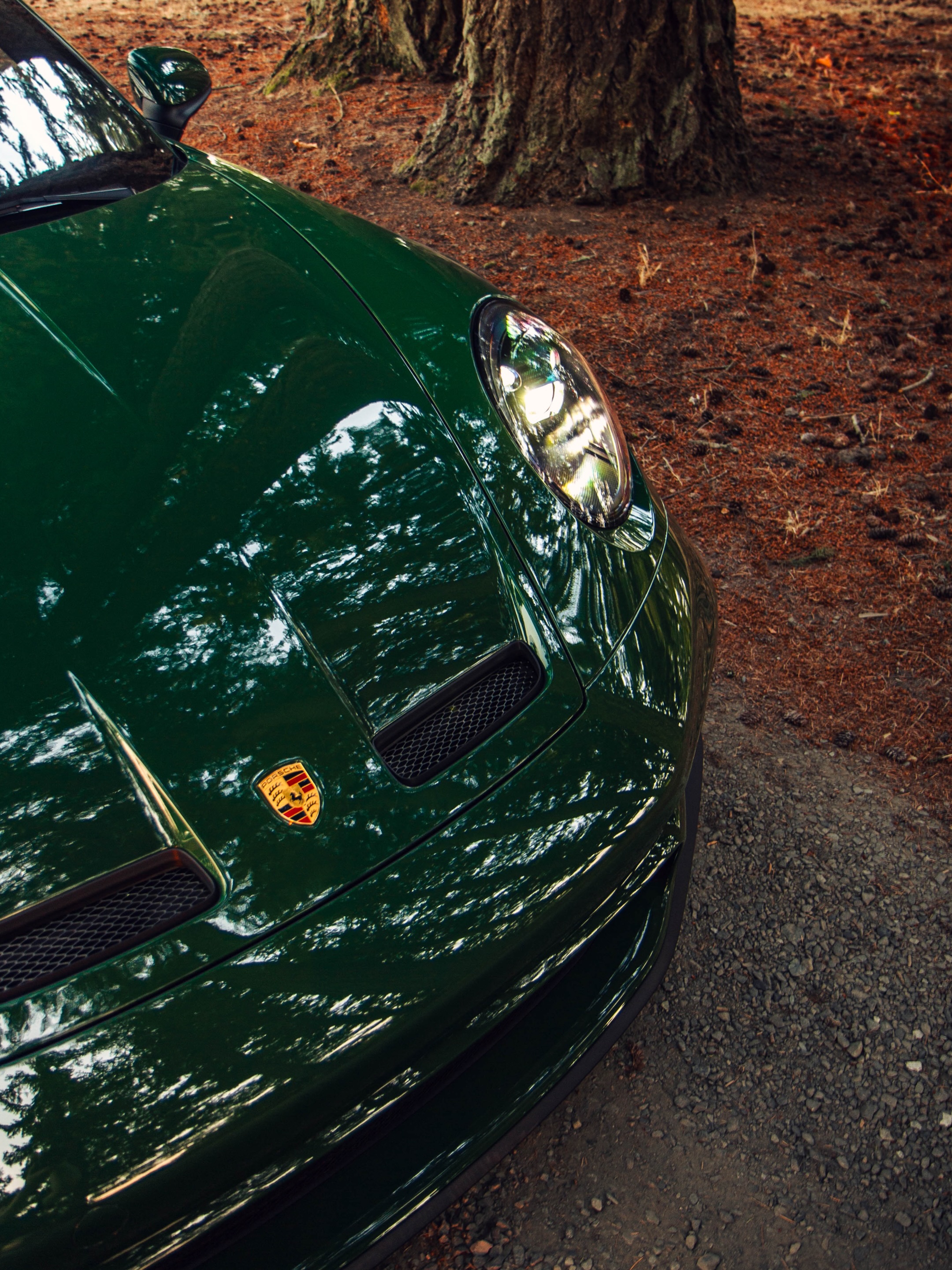 PORSCHE GT3 TOURING TAKES GREEN INTO THE FOREST (image 4)