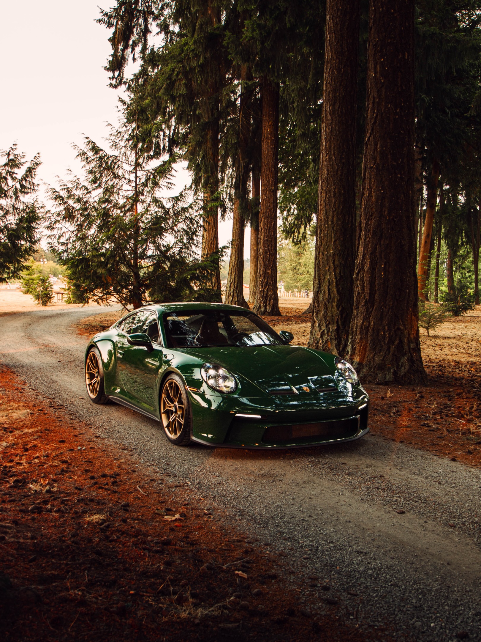 PORSCHE GT3 TOURING TAKES GREEN INTO THE FOREST (image 6)