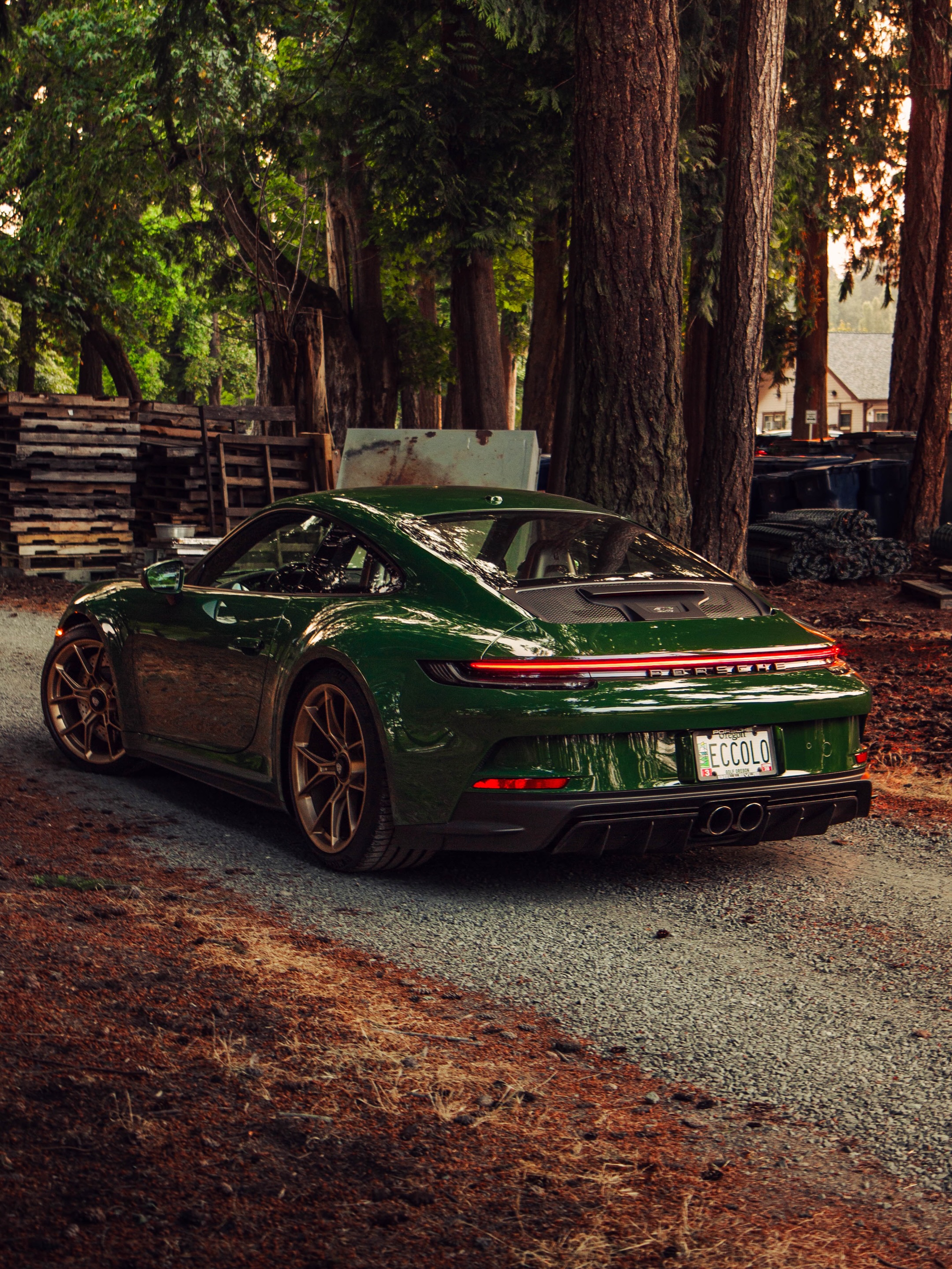 PORSCHE GT3 TOURING TAKES GREEN INTO THE FOREST (image 7)